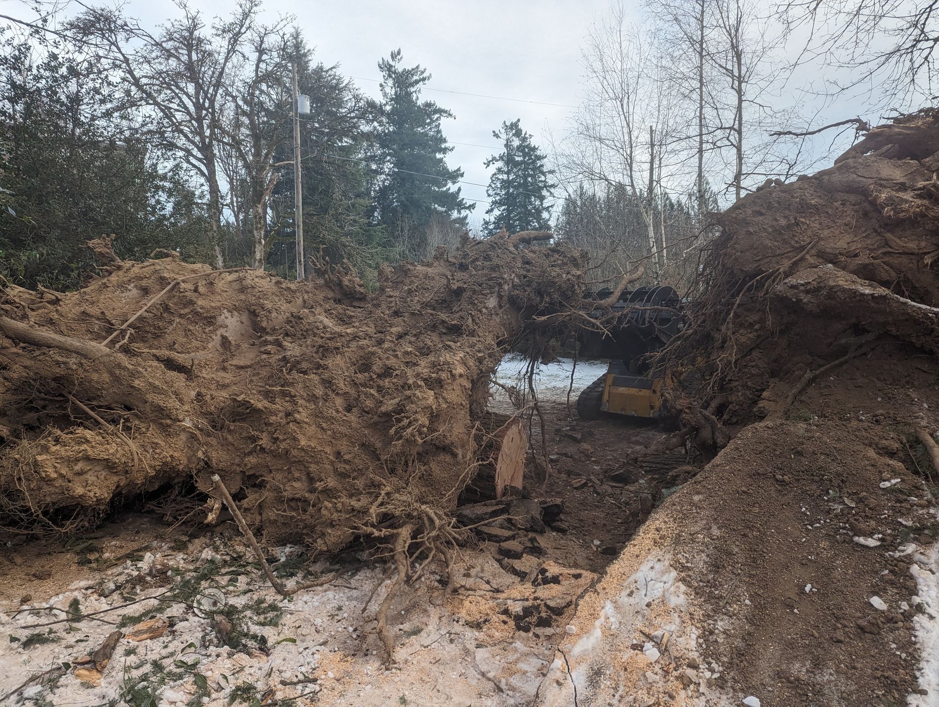 Earthy landslide with fallen trees and mud blocking a forested ravine.