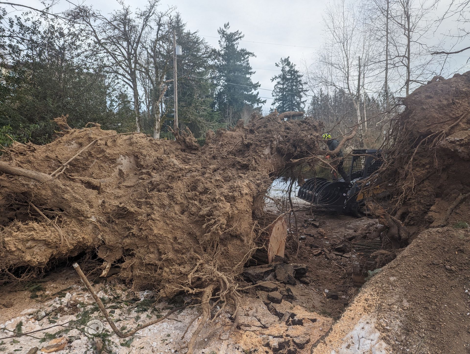 Collapsed dirt roadway with a deep erosion trench and a worker clearing debris in a wooded area