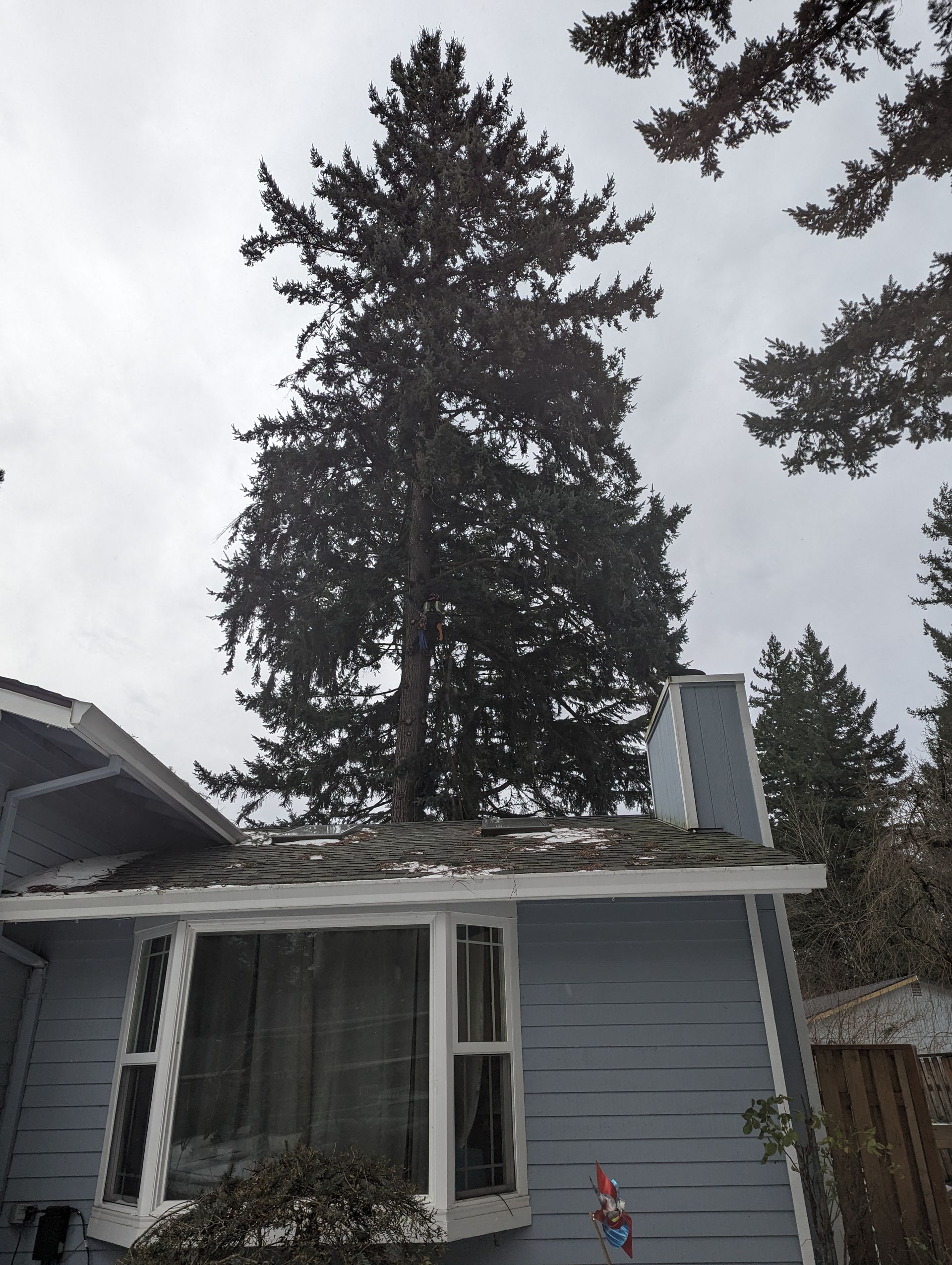 Blue-gray house with a damaged roof beneath tall evergreen trees and a cloudy sky