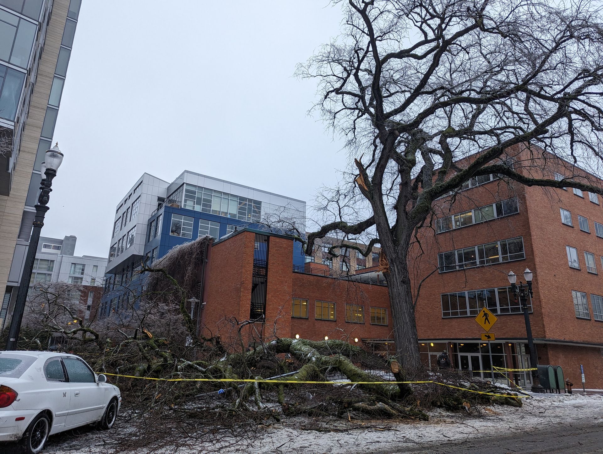 Damaged brick building and fallen tree with yellow caution tape beside a parked white car on a city street.
