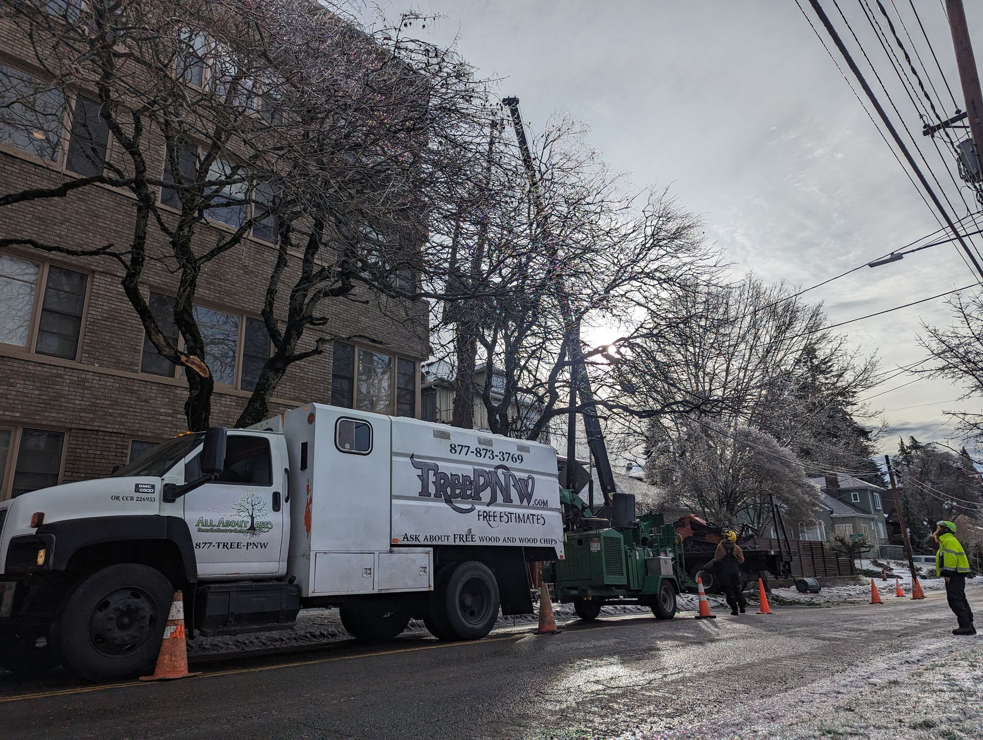 Workers and a utility truck line a street with orange cones under blooming trees