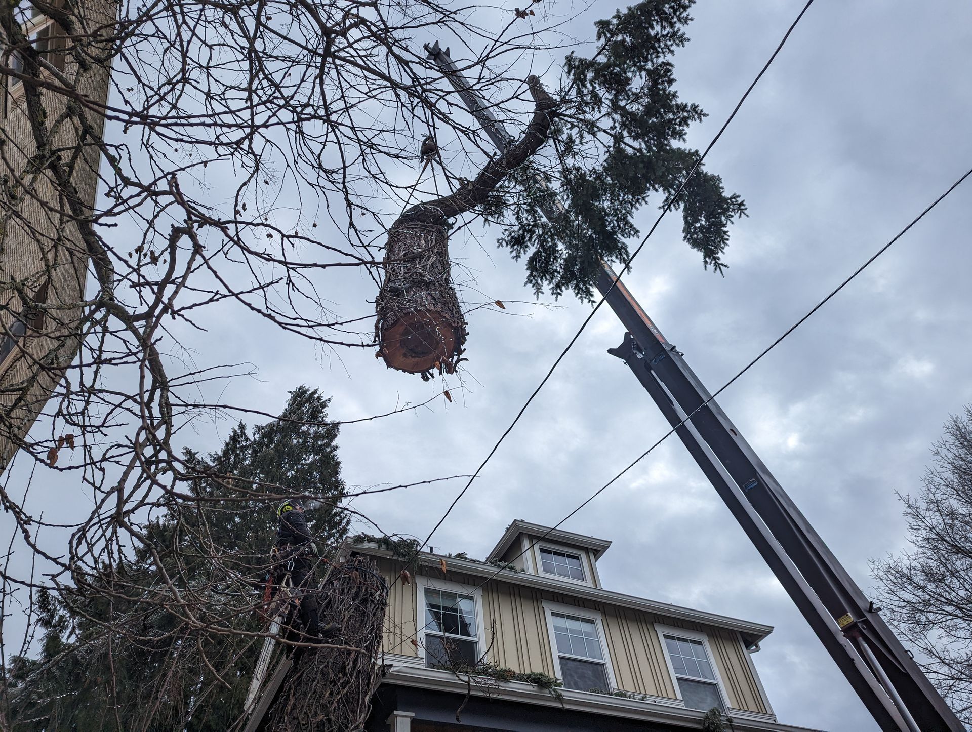 Crane lifting a hanging plant basket above a residential building under a gray sky