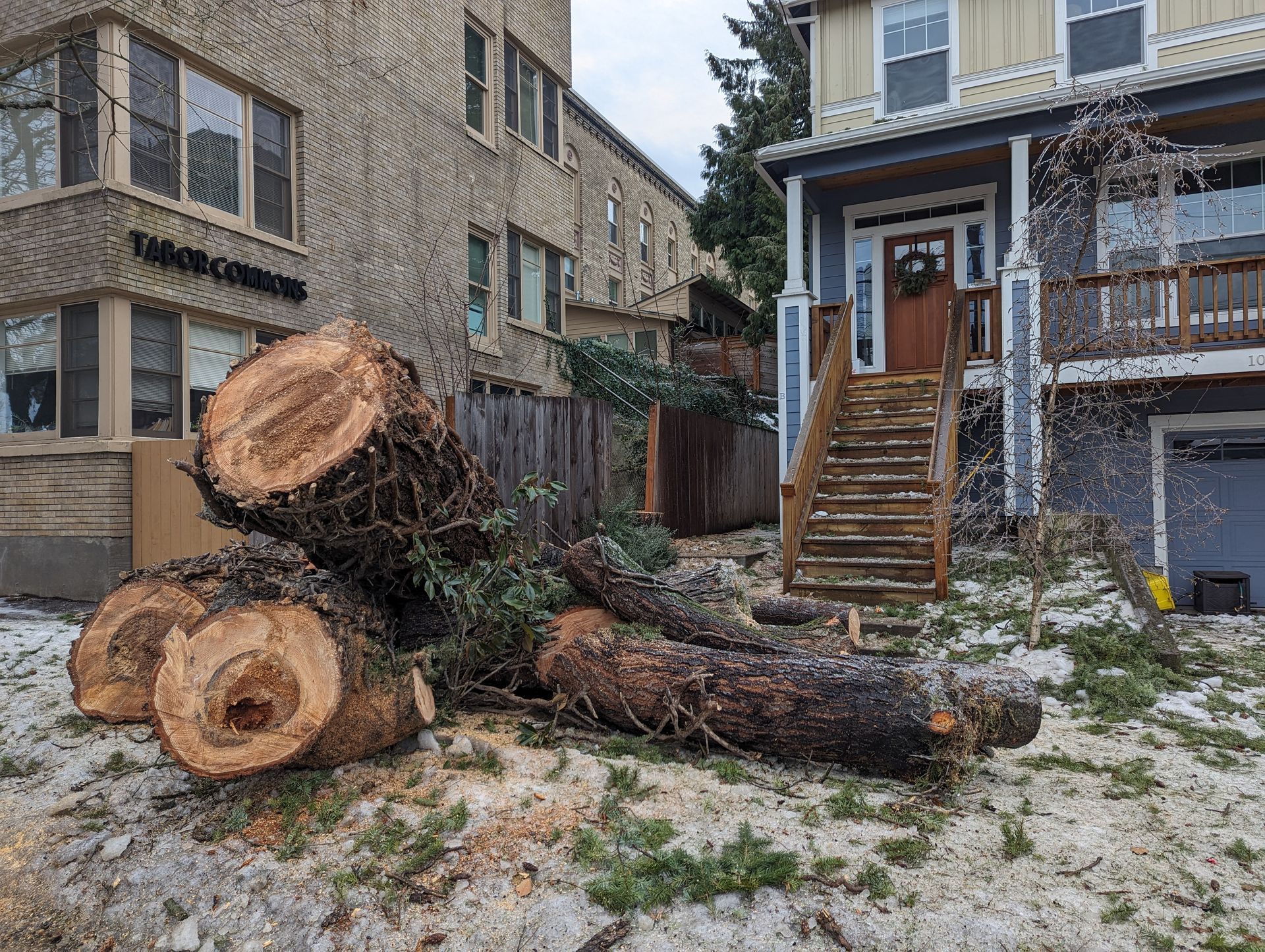 Downed tree trunks on snowy ground beside row houses and a stairway.