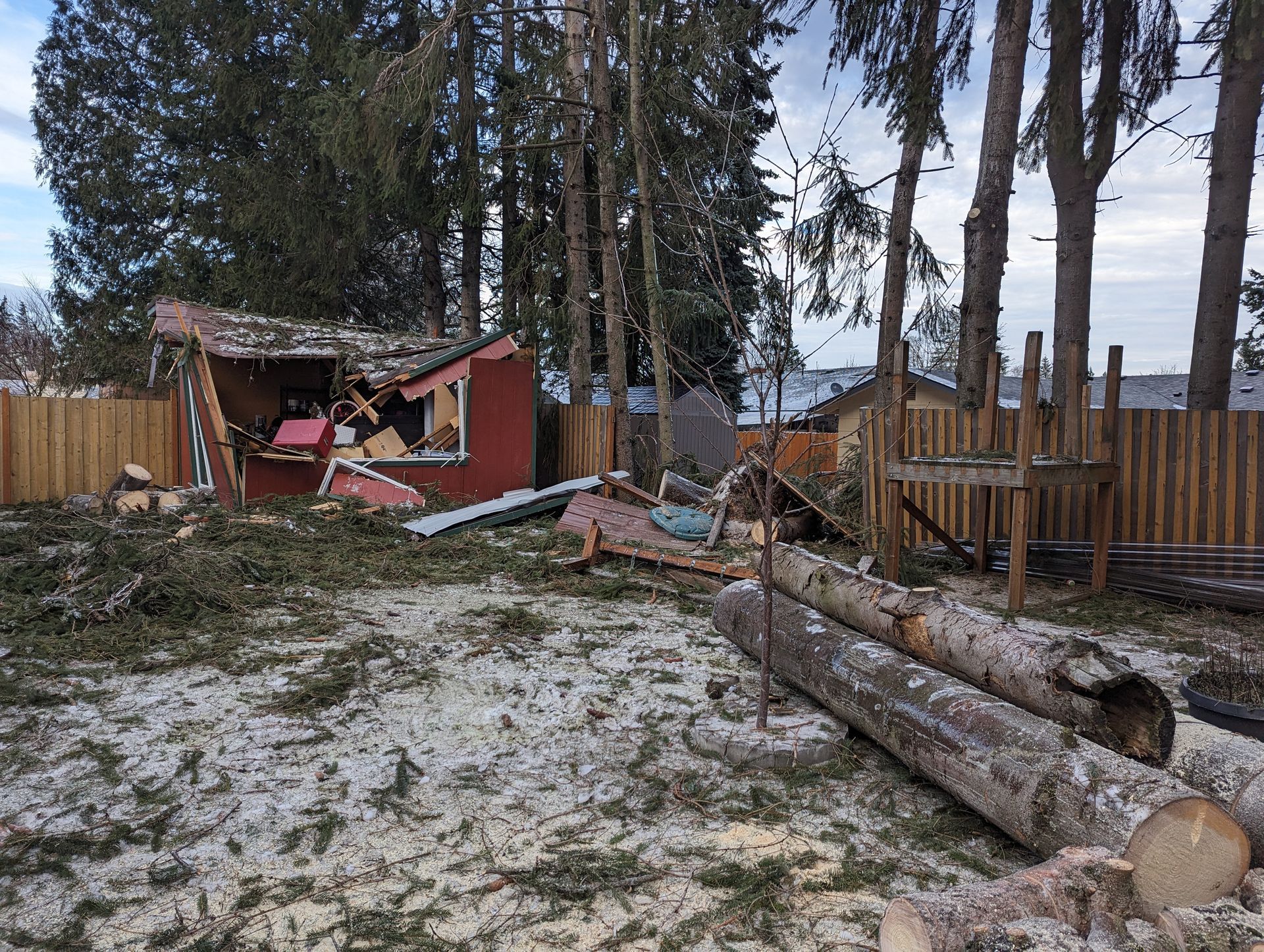 Damaged backyard shed and broken fence with fallen logs and scattered debris on snowy ground