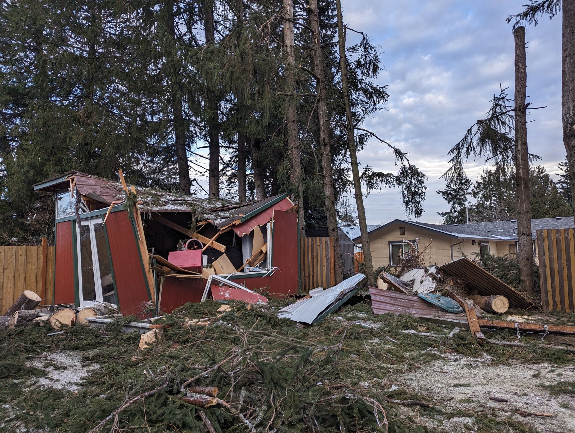 Severely damaged house with collapsed walls and debris amid tall trees after a storm