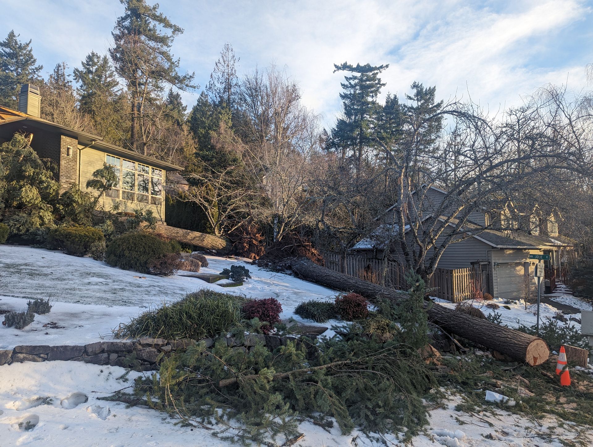 Snowy residential yard with fallen tree branches, evergreen trees, and a house on a hillside