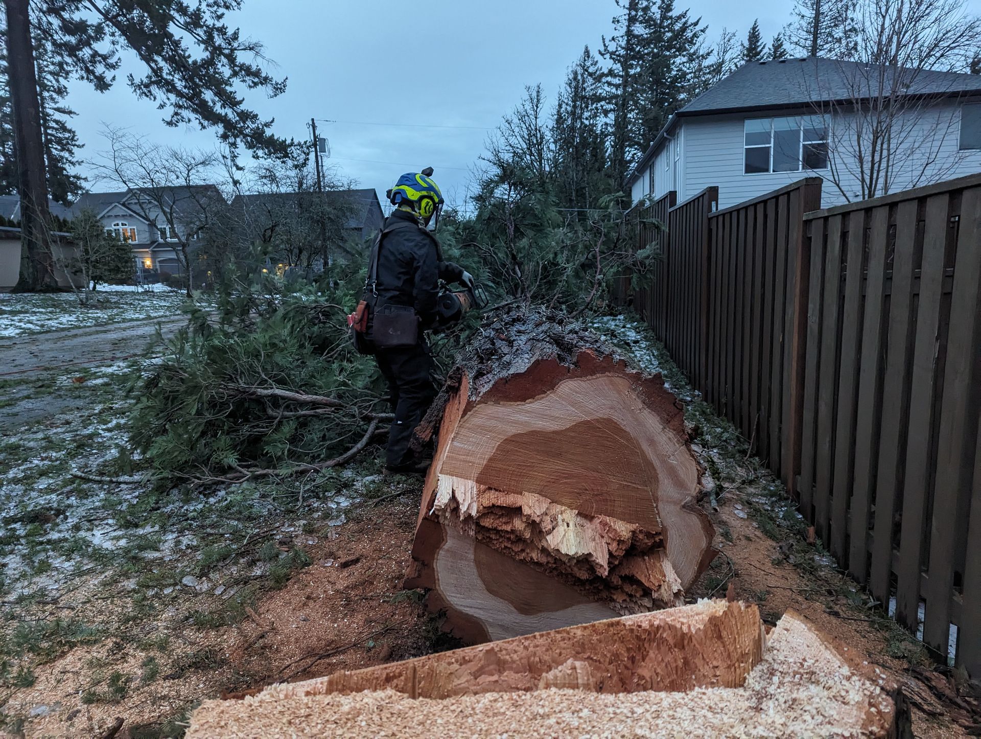A fallen tree trunk is being cut up beside a fence in a snowy yard, with a worker nearby.