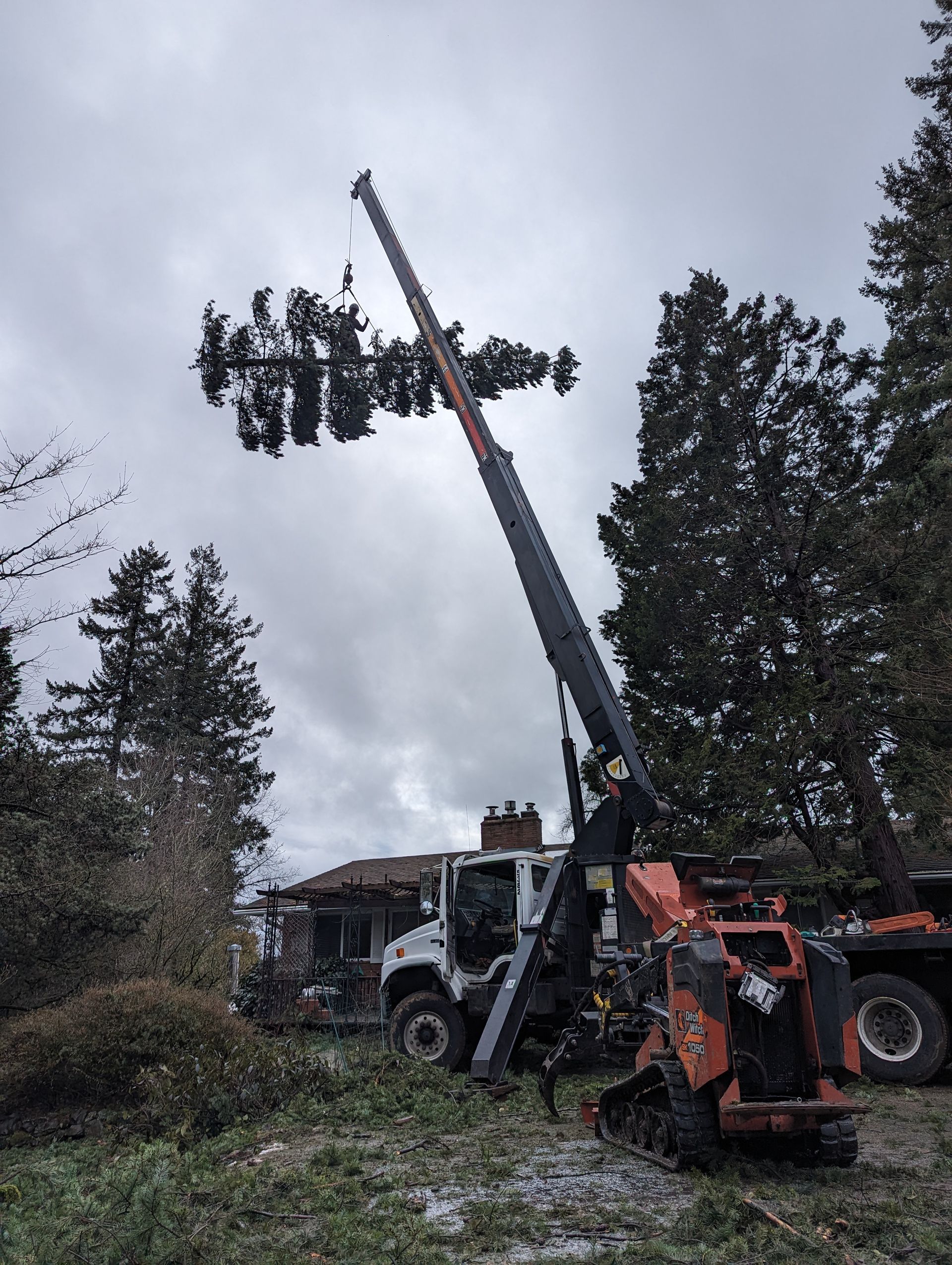 Crane truck lifting a large tree branch beside a wooded area on a cloudy day