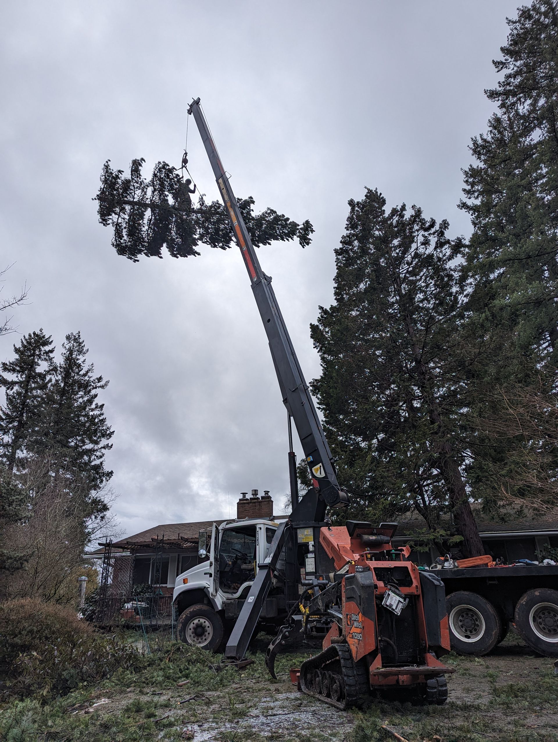 Bucket truck lifting a tree limb beside a house under a cloudy sky