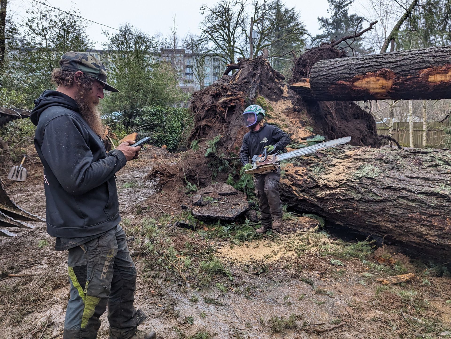 Two workers inspecting a fallen tree trunk in a muddy wooded area