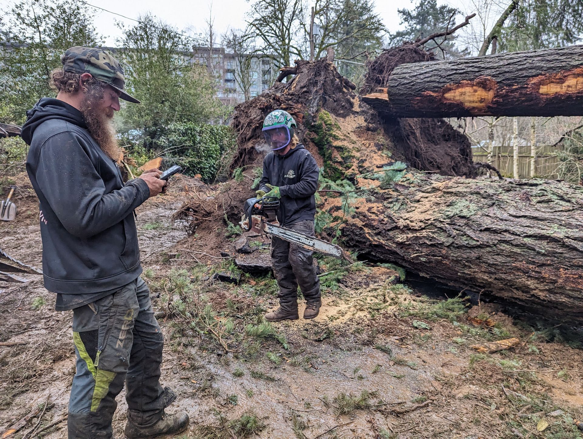 Two people in rain gear stand by a fallen tree in a muddy wooded area.