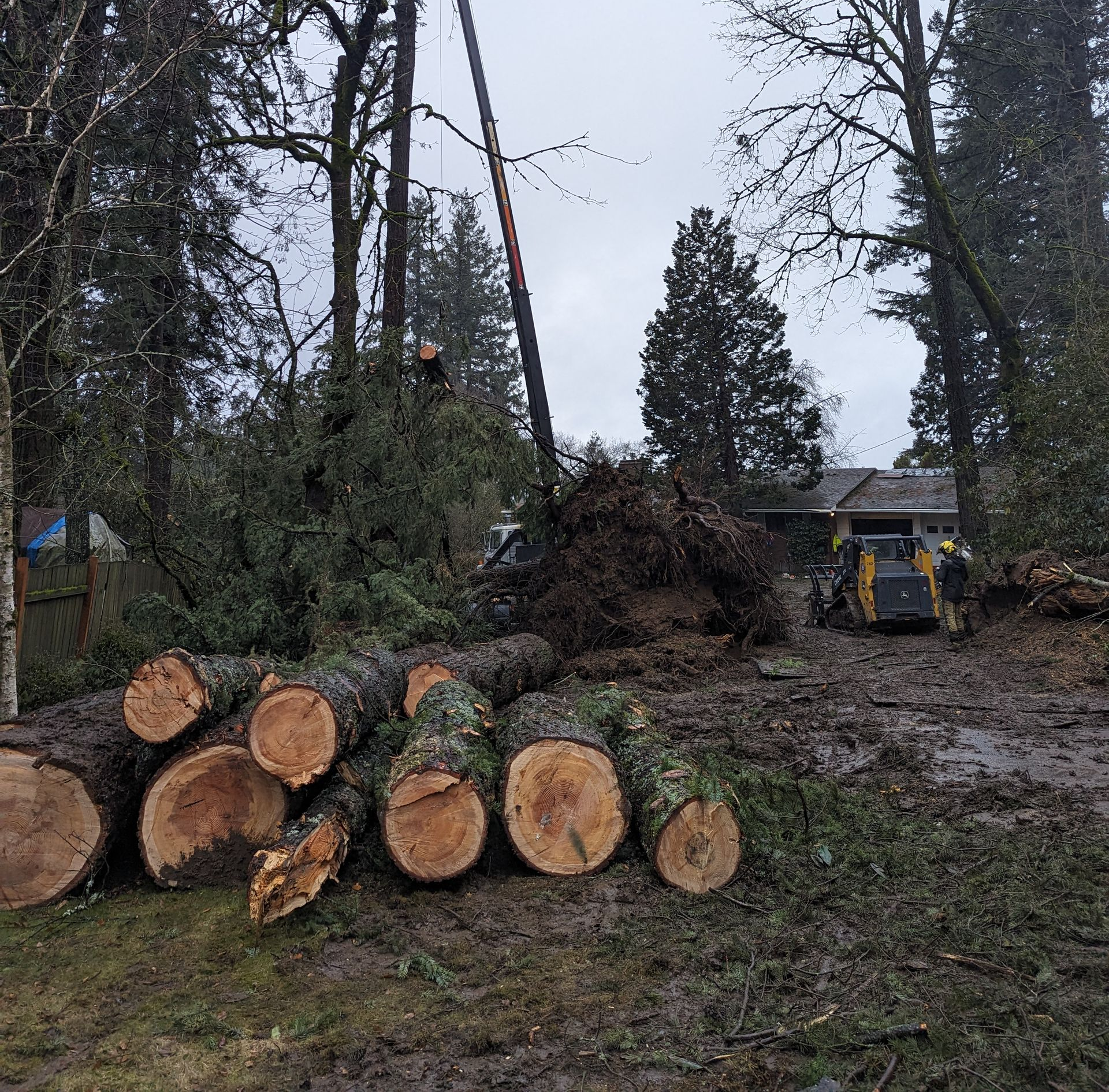 Cut logs stacked in a muddy yard with a small excavator in the background and tall trees around.