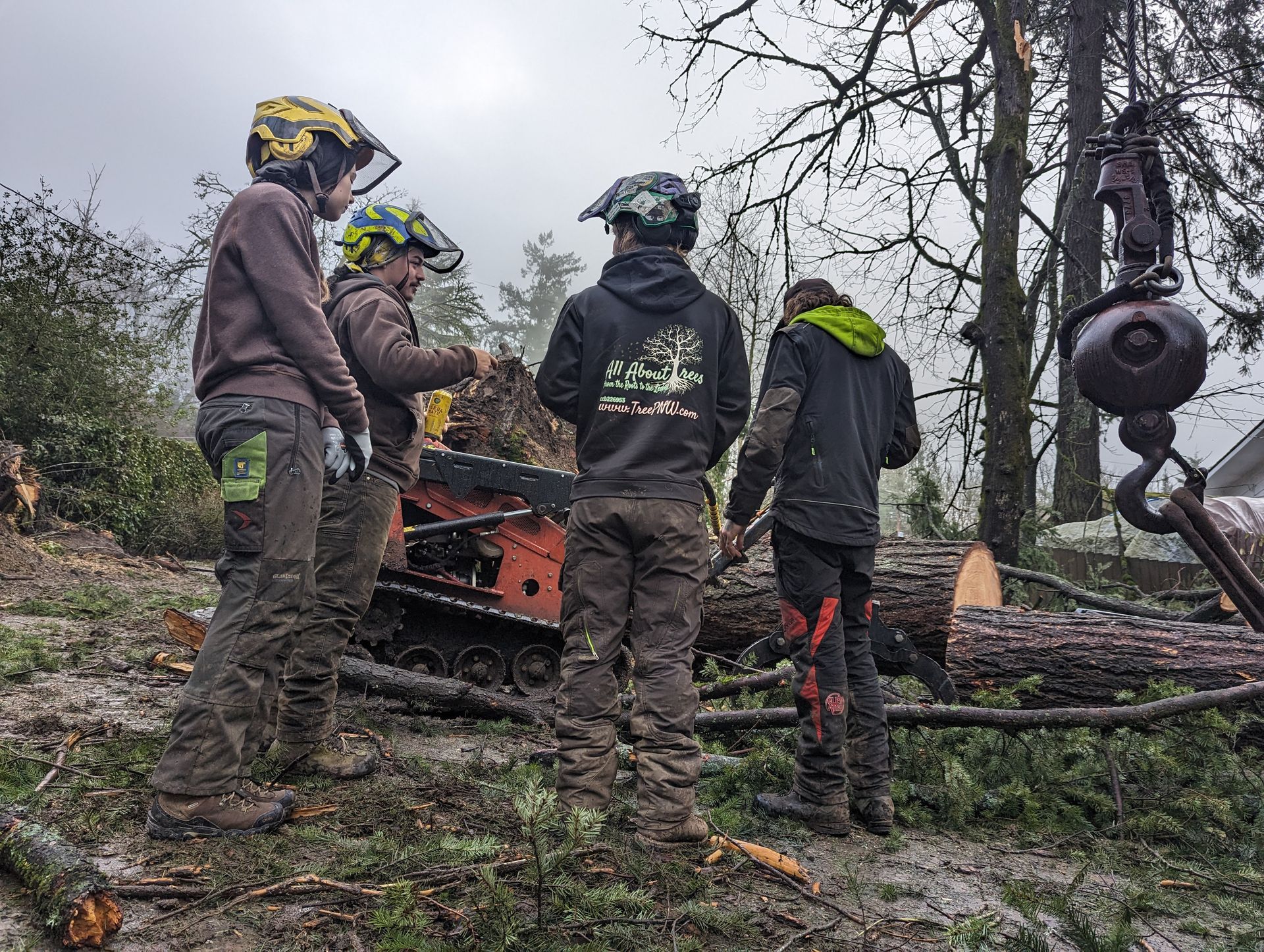 Four workers in helmets inspect storm debris and a fallen tree in a muddy wooded area.