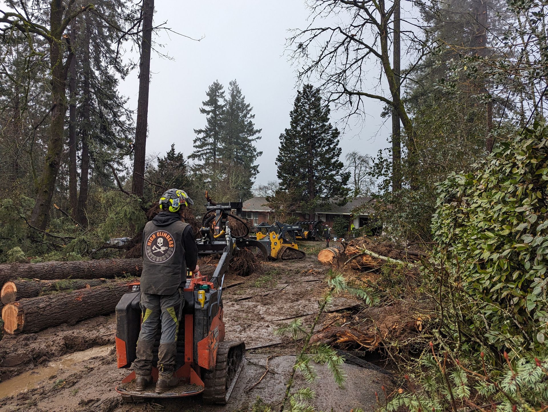Worker on a logging machine driving through a muddy forest road beside stacked cut trees.