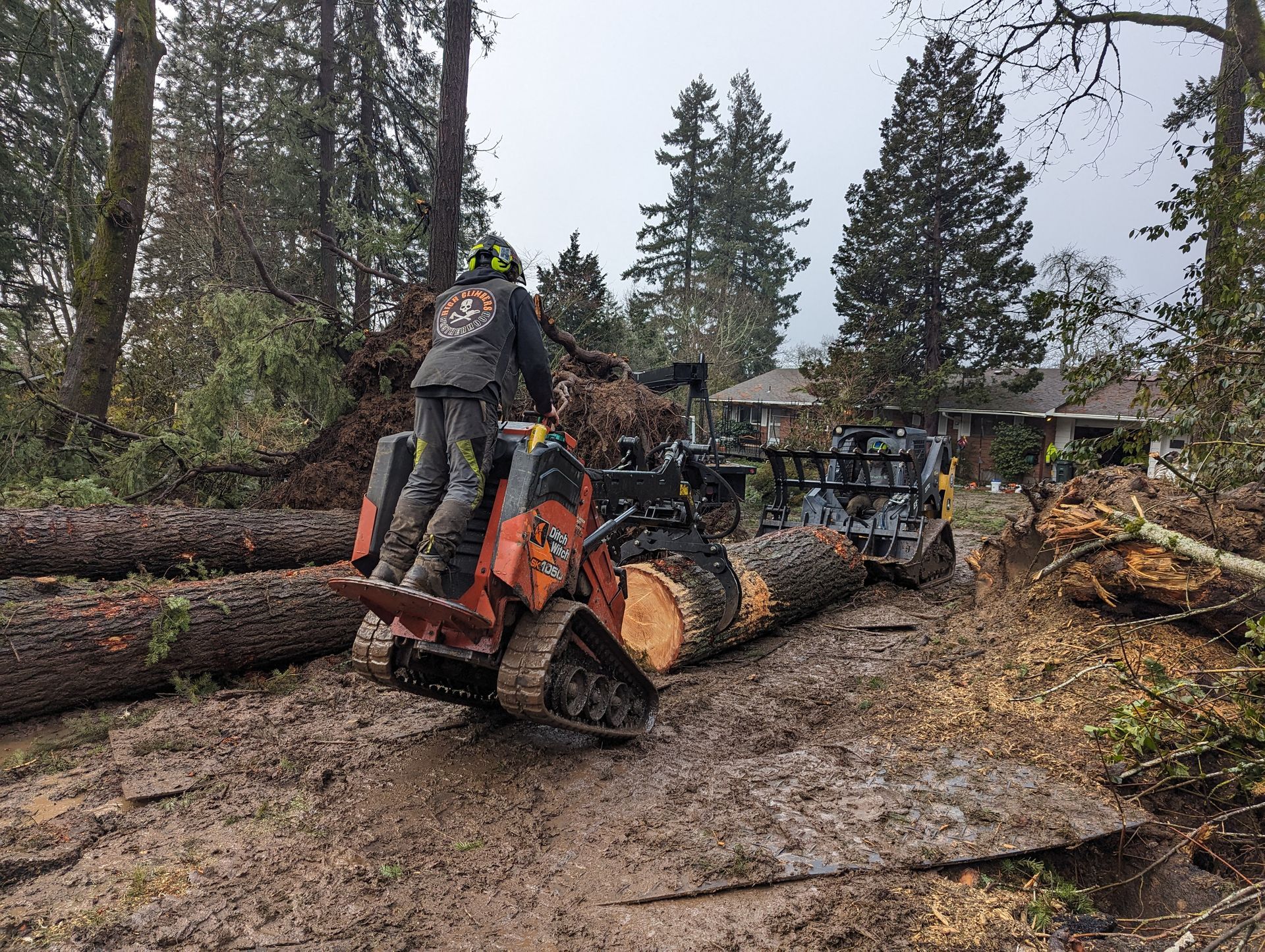 Workers loading logs onto a skid-steer in a muddy forest clearing