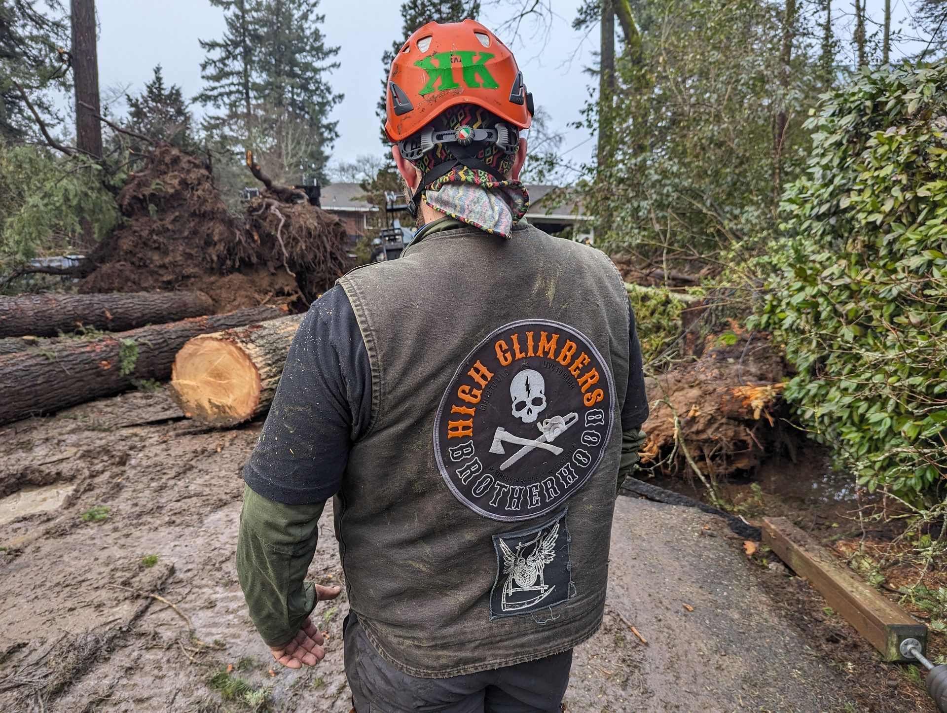 Person in a helmet walking on a muddy trail in a burned forest area, seen from behind.
