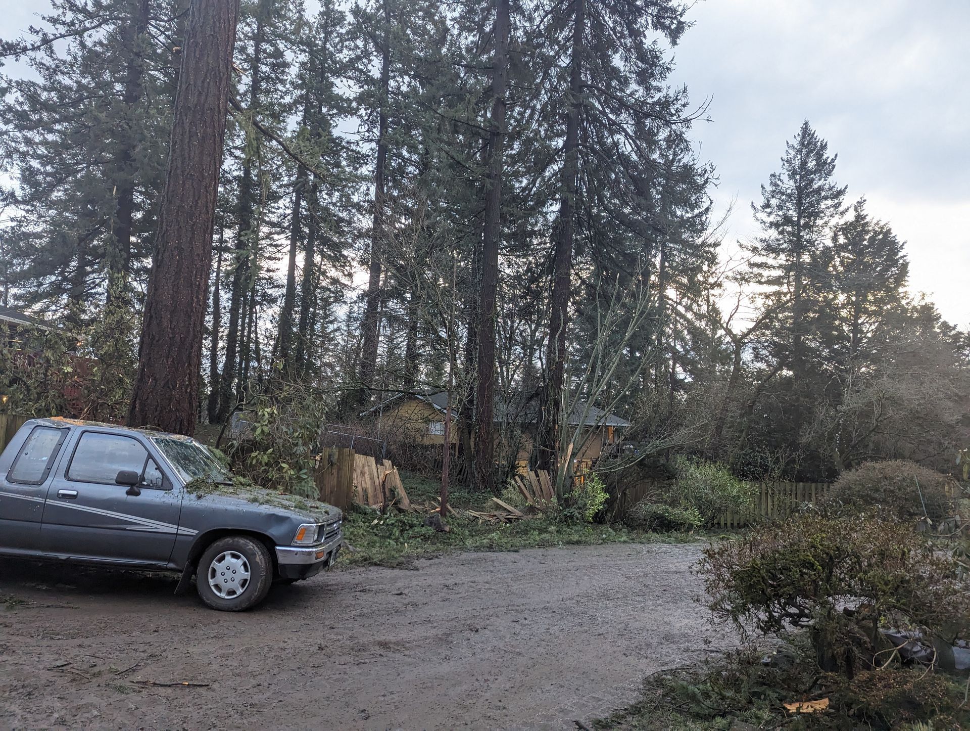 Gray pickup truck parked on a gravel driveway beside tall trees and a small house at dusk