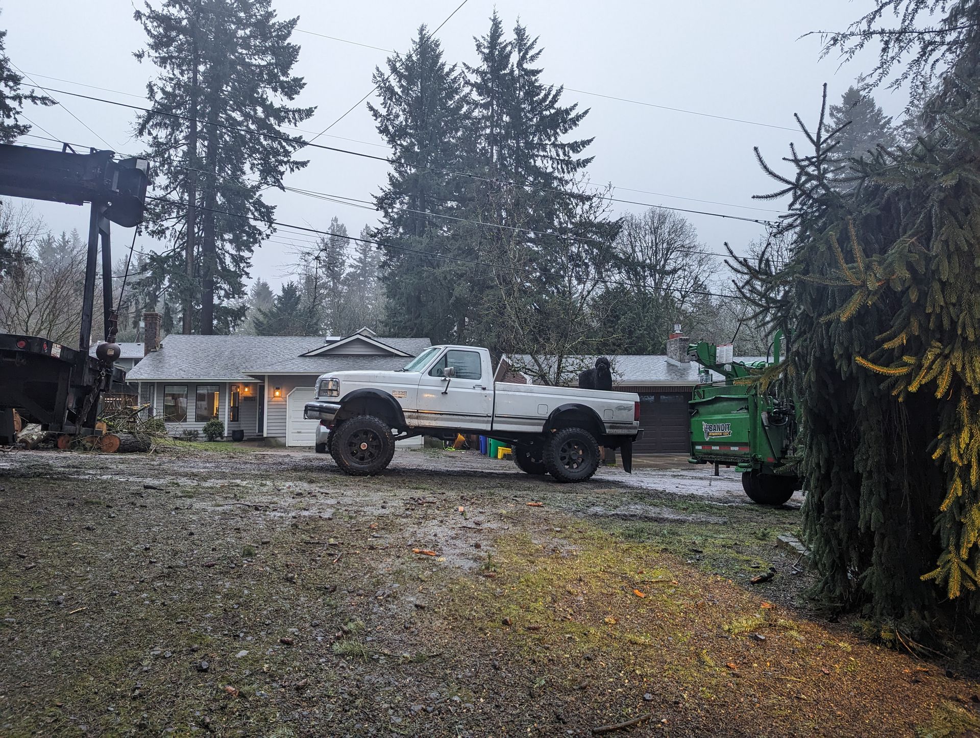 Pickup truck and green dumpster in a snowy gravel yard with tall evergreen trees and a house in the background