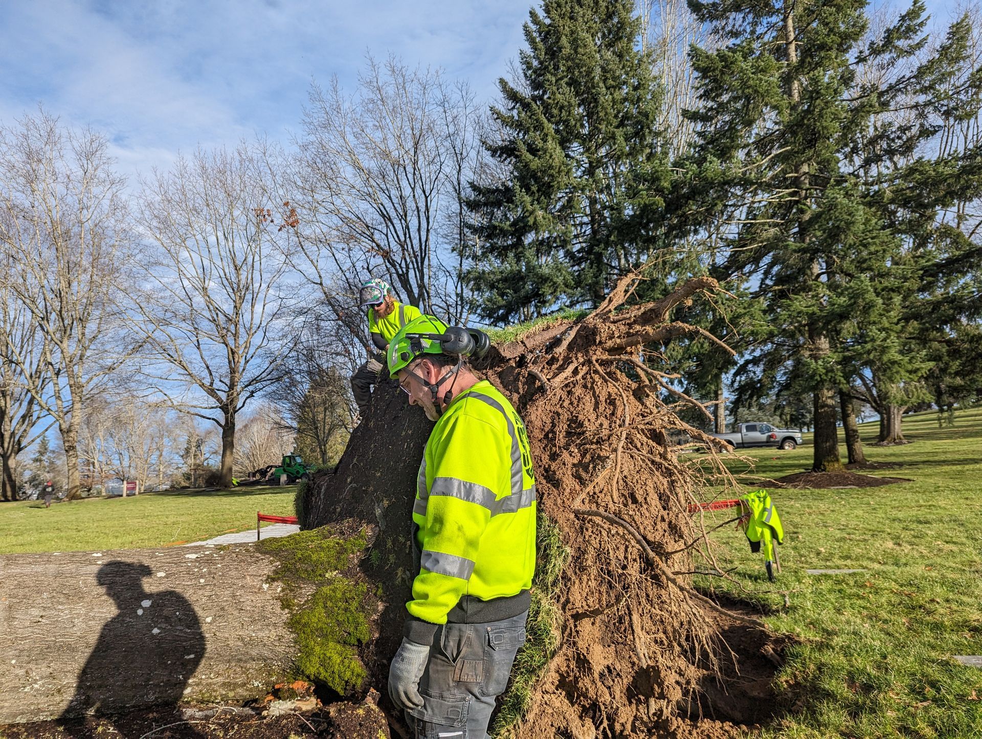 Worker in neon safety gear standing beside a large brush pile in a grassy park under clear blue sky