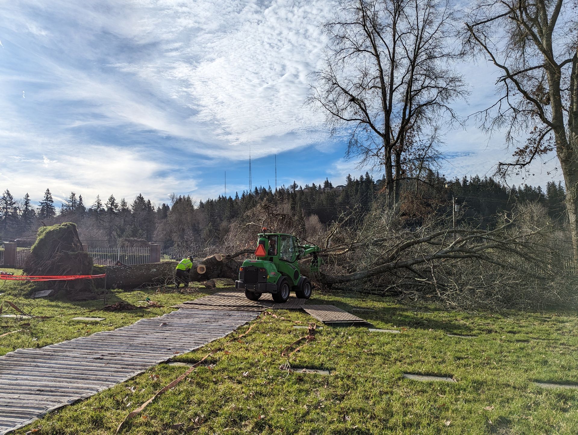 Person operating a green tractor beside a fallen tree on a grassy path under a cloudy sky