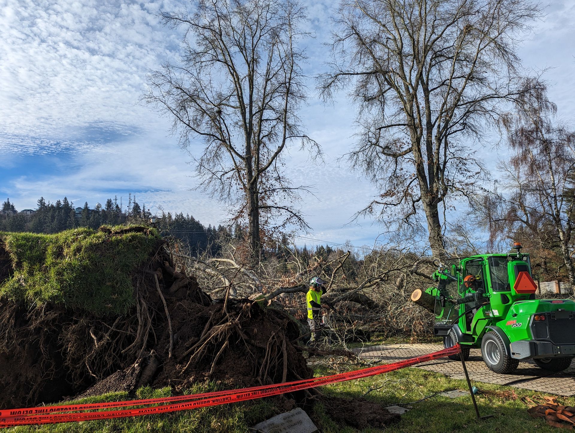 Green tractor clearing a large pile of cut branches and roots in a field under bare trees