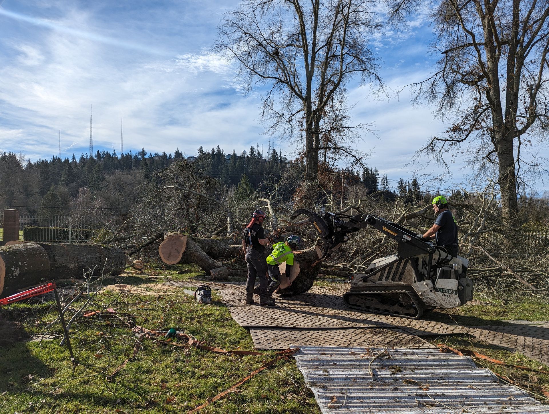 Workers using a chainsaw to clear fallen trees on a wooded path under a blue sky