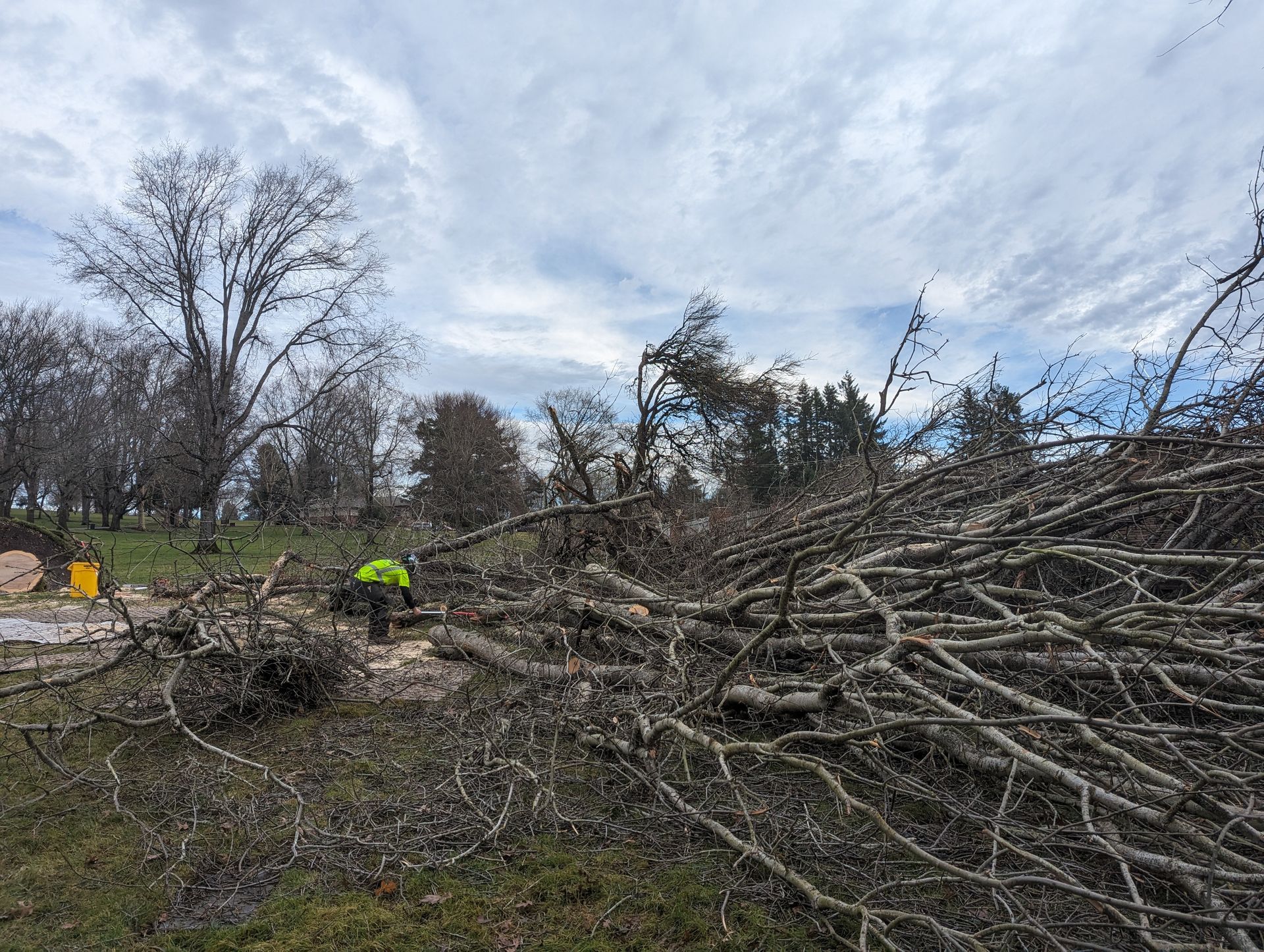 Storm damage with fallen trees and branches blocking a muddy roadside, workers in high-visibility gear nearby