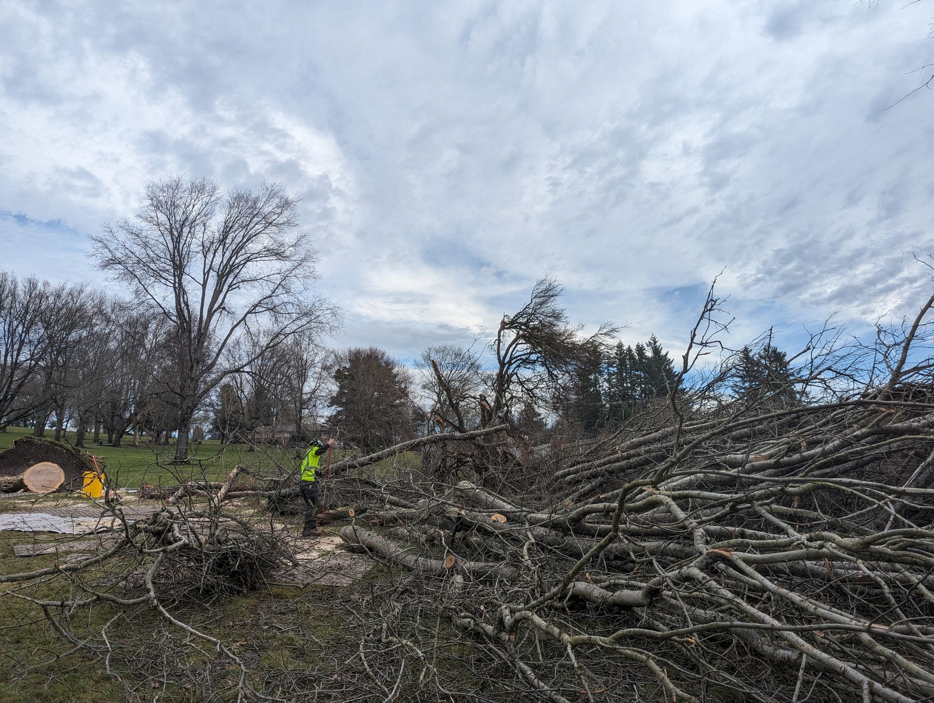 Storm-damaged trees and fallen branches with two workers in high-visibility gear under a cloudy sky