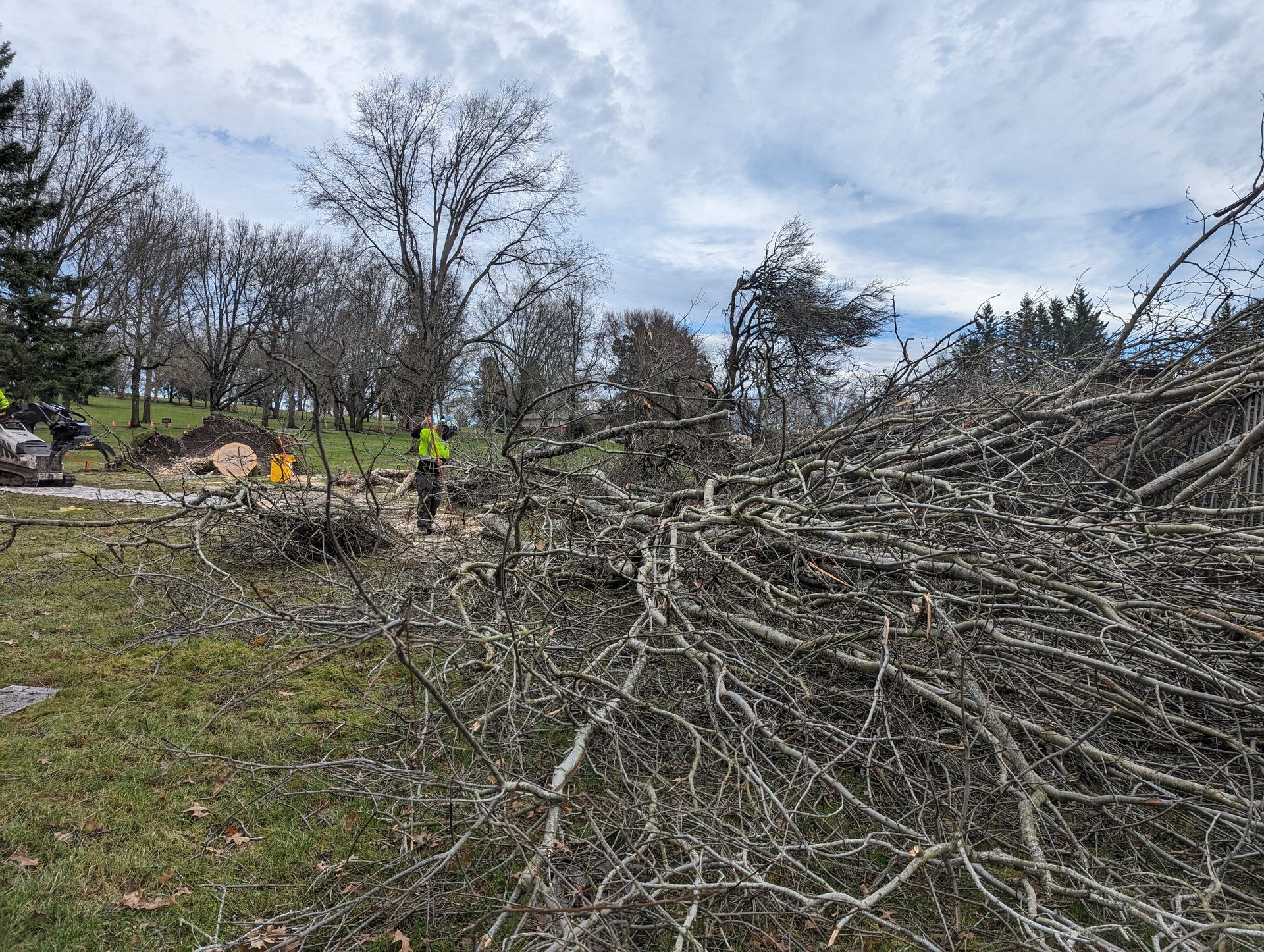 Storm-damaged yard with fallen trees and branches, and a worker in a high-visibility jacket clearing debris.