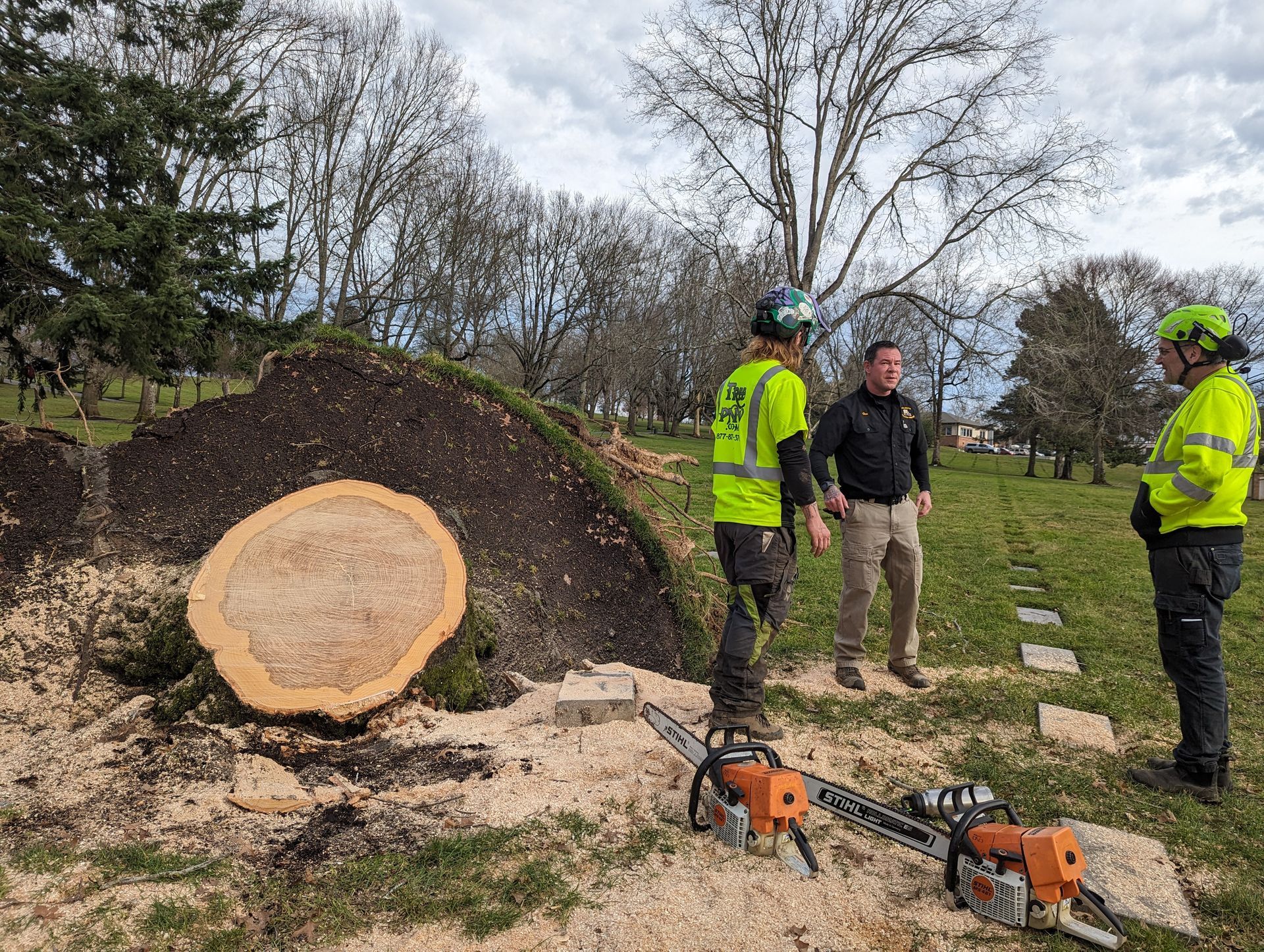 Three workers in safety gear inspect a large cut tree trunk beside a wood chip pile and chainsaws.