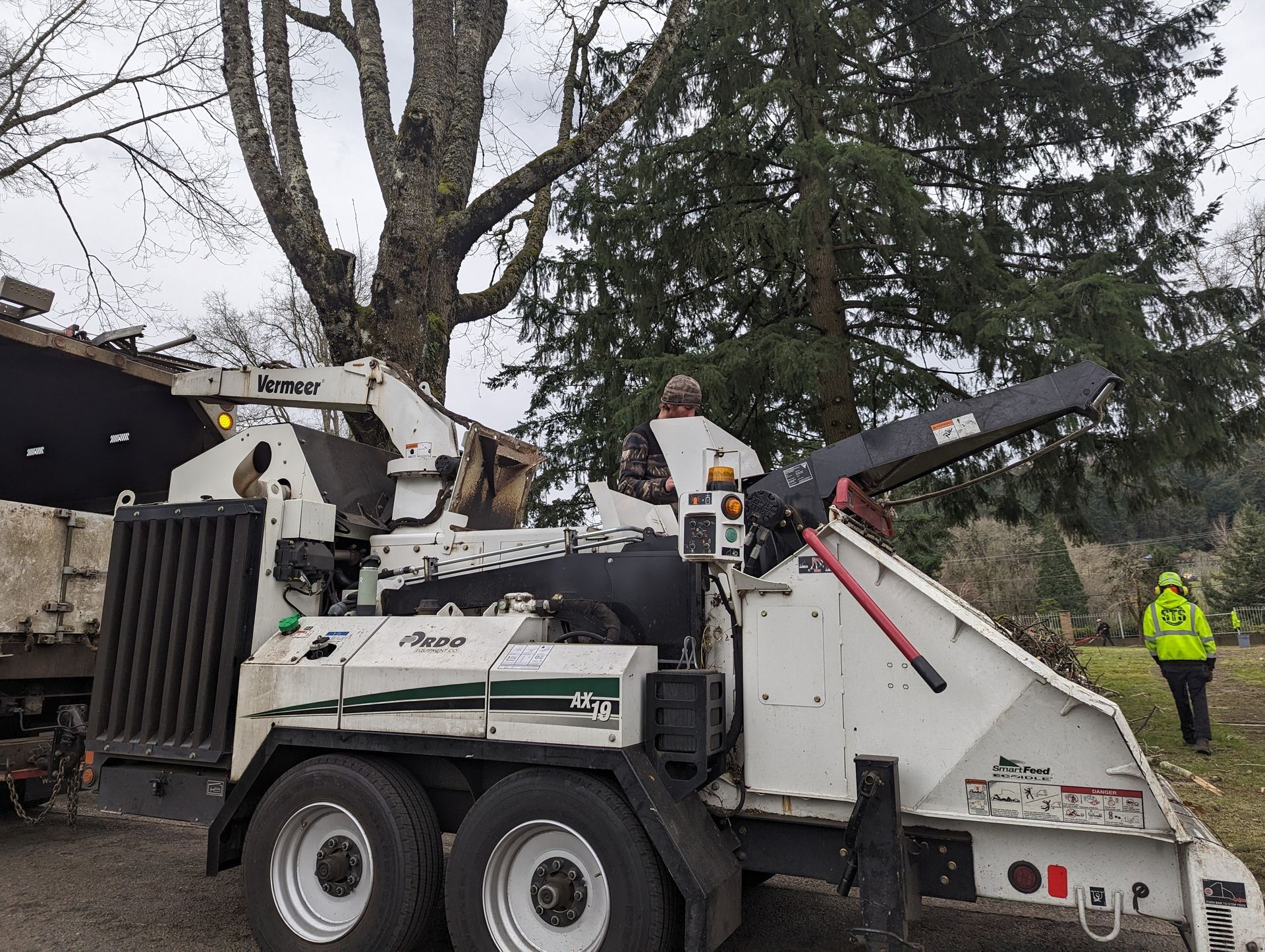 White wood chipper truck with workers clearing branches beside a large tree in a yard