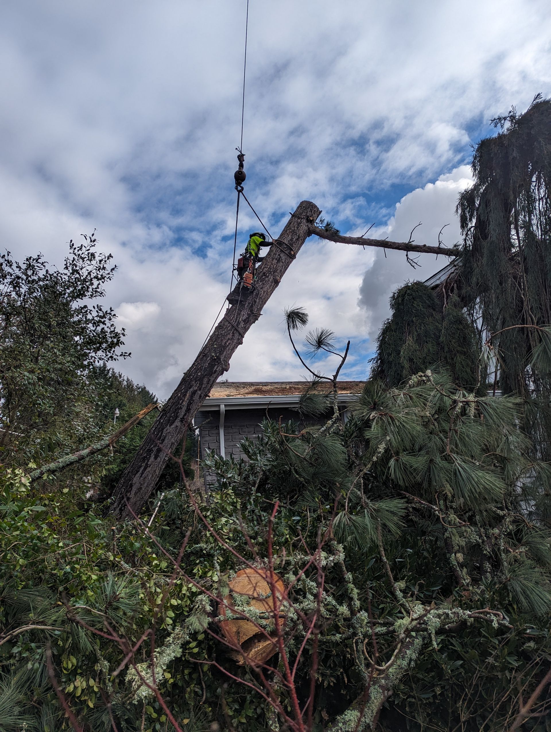 Utility worker on a tilted pole clearing storm damage amid fallen trees and cloudy sky