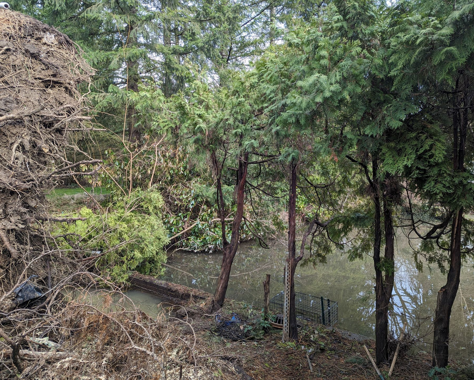 Tree-lined pond beside a sloped, wooded bank with a small fence and overcast reflections on the water