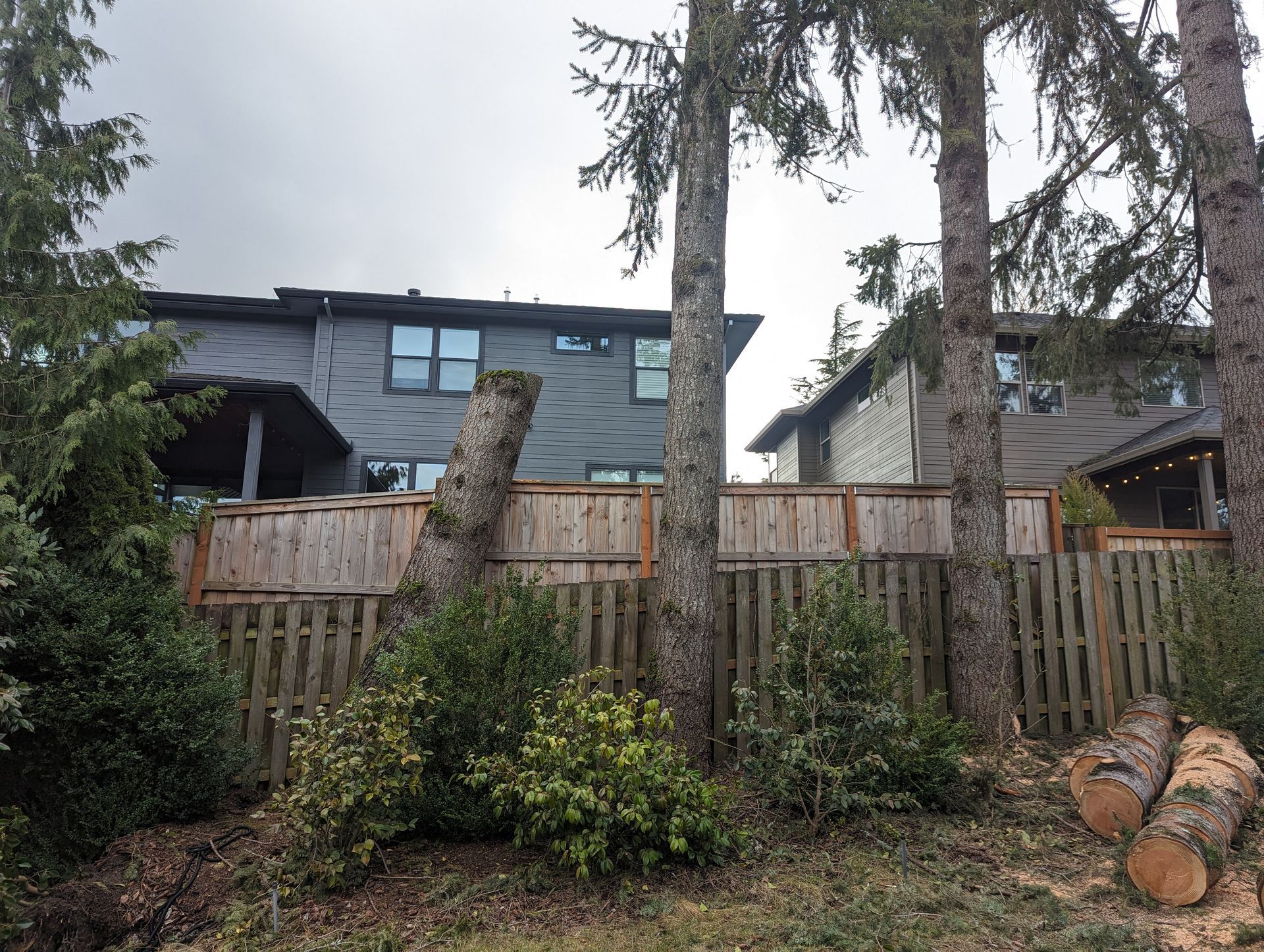 Backyard fence with trees and stacked logs in front of a blue house