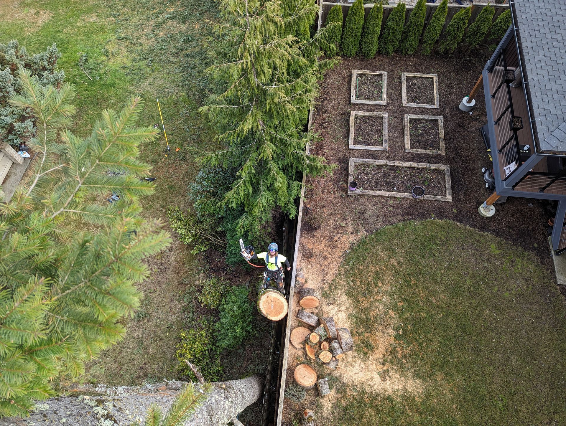 Overhead view of a backyard with a paved patio, tree stump logs, garden beds, and a fence.