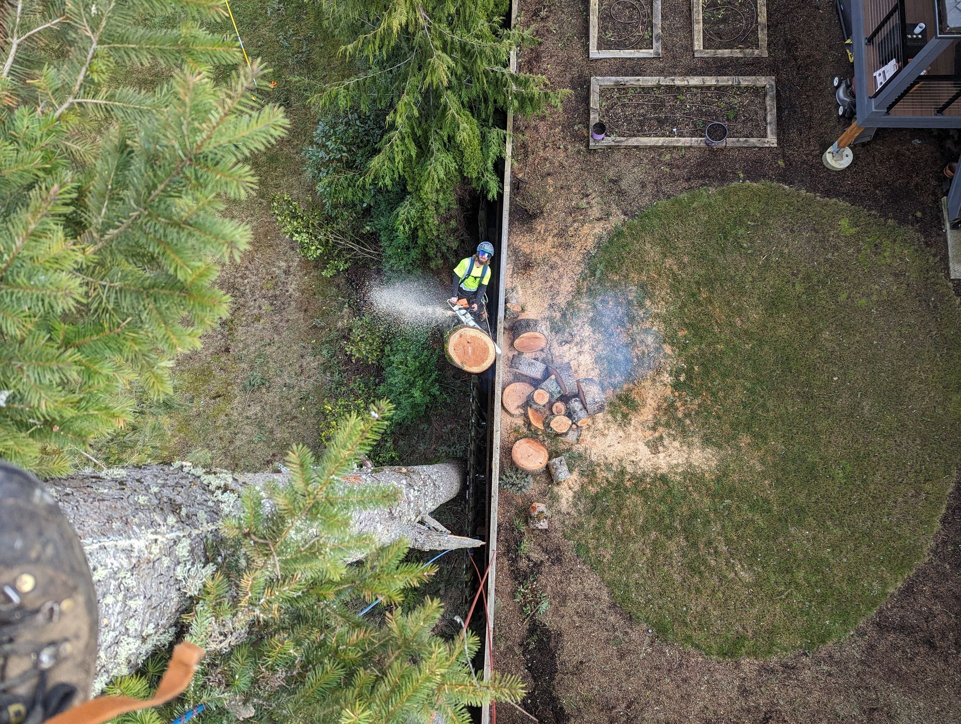 Aerial view of a person spraying water near a yard and shrubs, with wet pavement and a circular grass patch