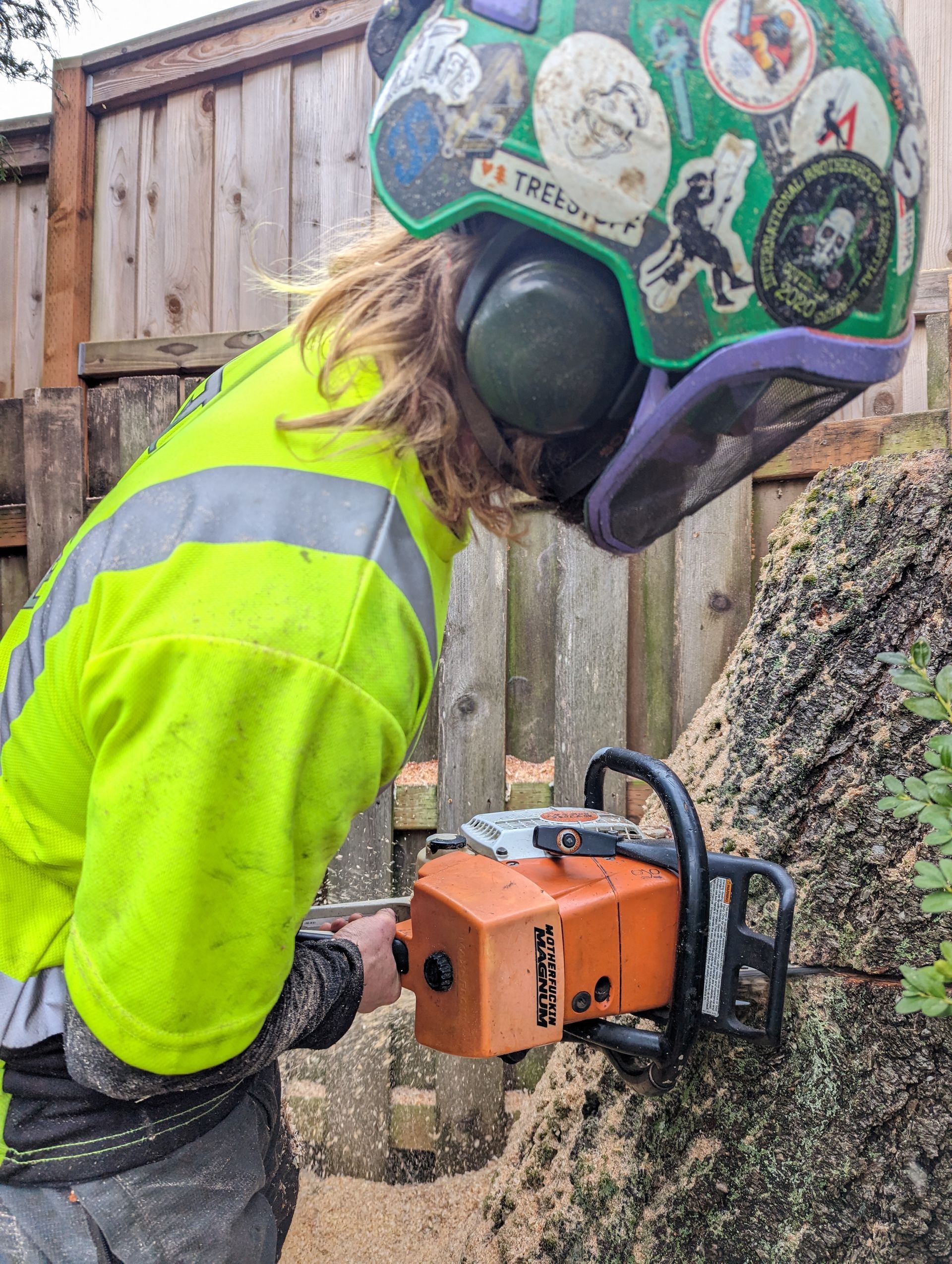 Worker in neon yellow gear using a chainsaw to cut a tree trunk outdoors