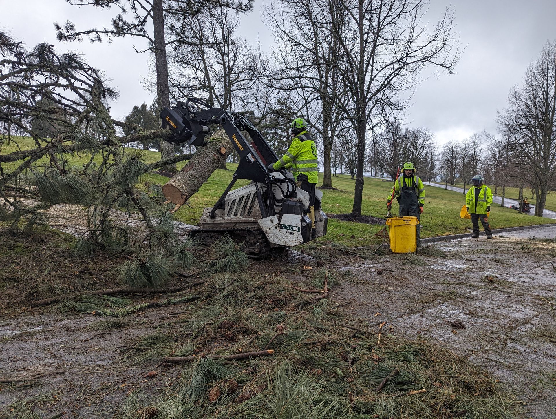Workers in neon jackets clear fallen branches with a small excavator on a muddy roadside.