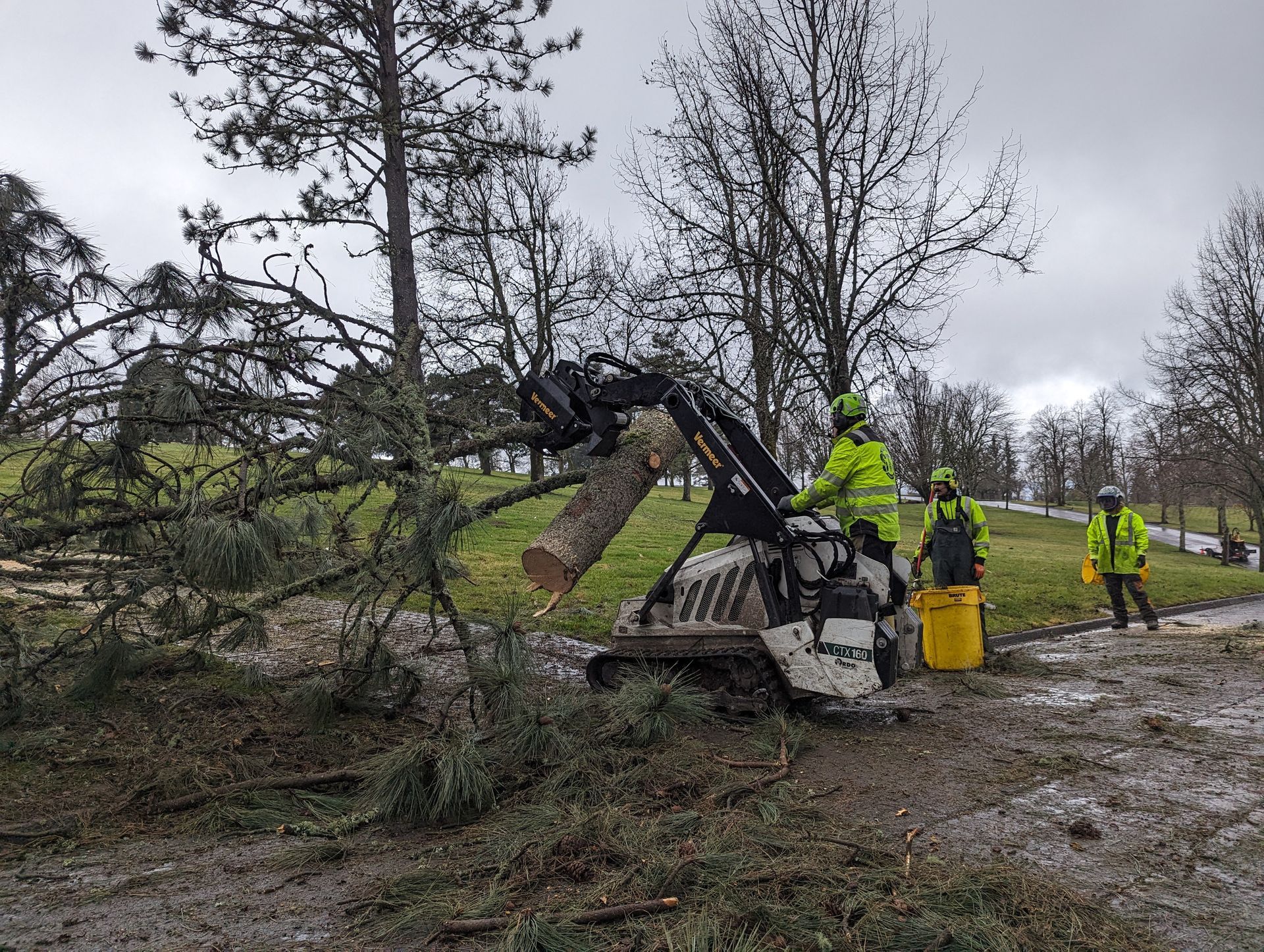 Excavator clearing a fallen tree on a wet roadside while workers in high-visibility jackets stand nearby