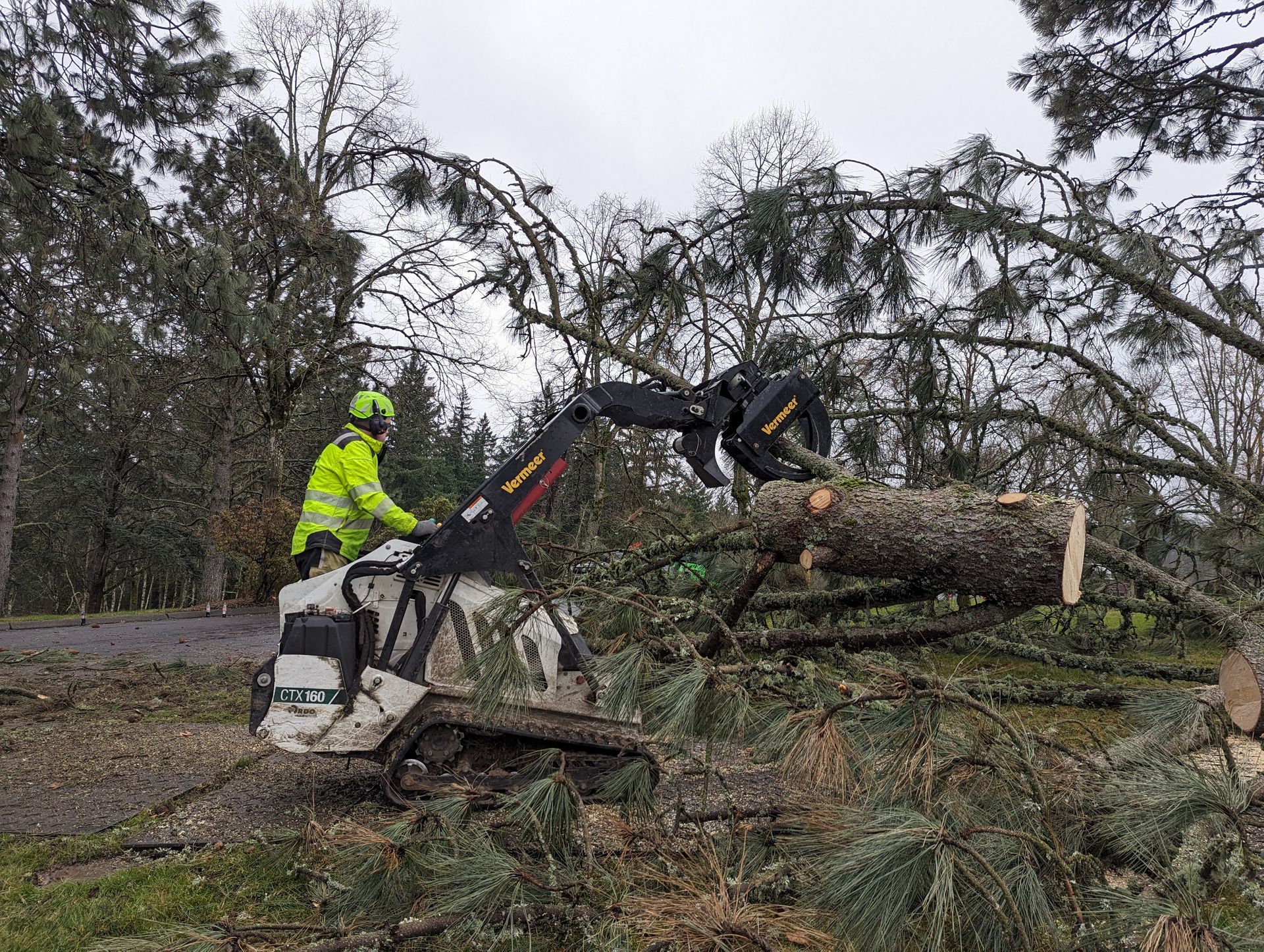 Worker in a neon jacket operates a small excavator clearing fallen trees beside a road.