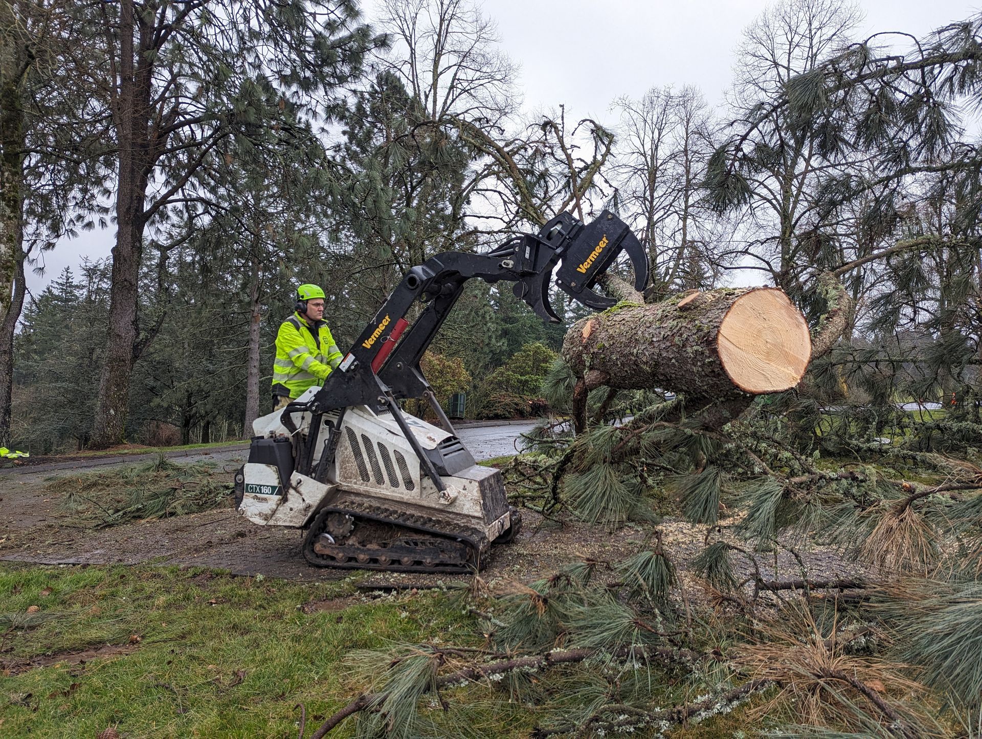 Worker operating a compact loader to clear a fallen tree in a wooded area
