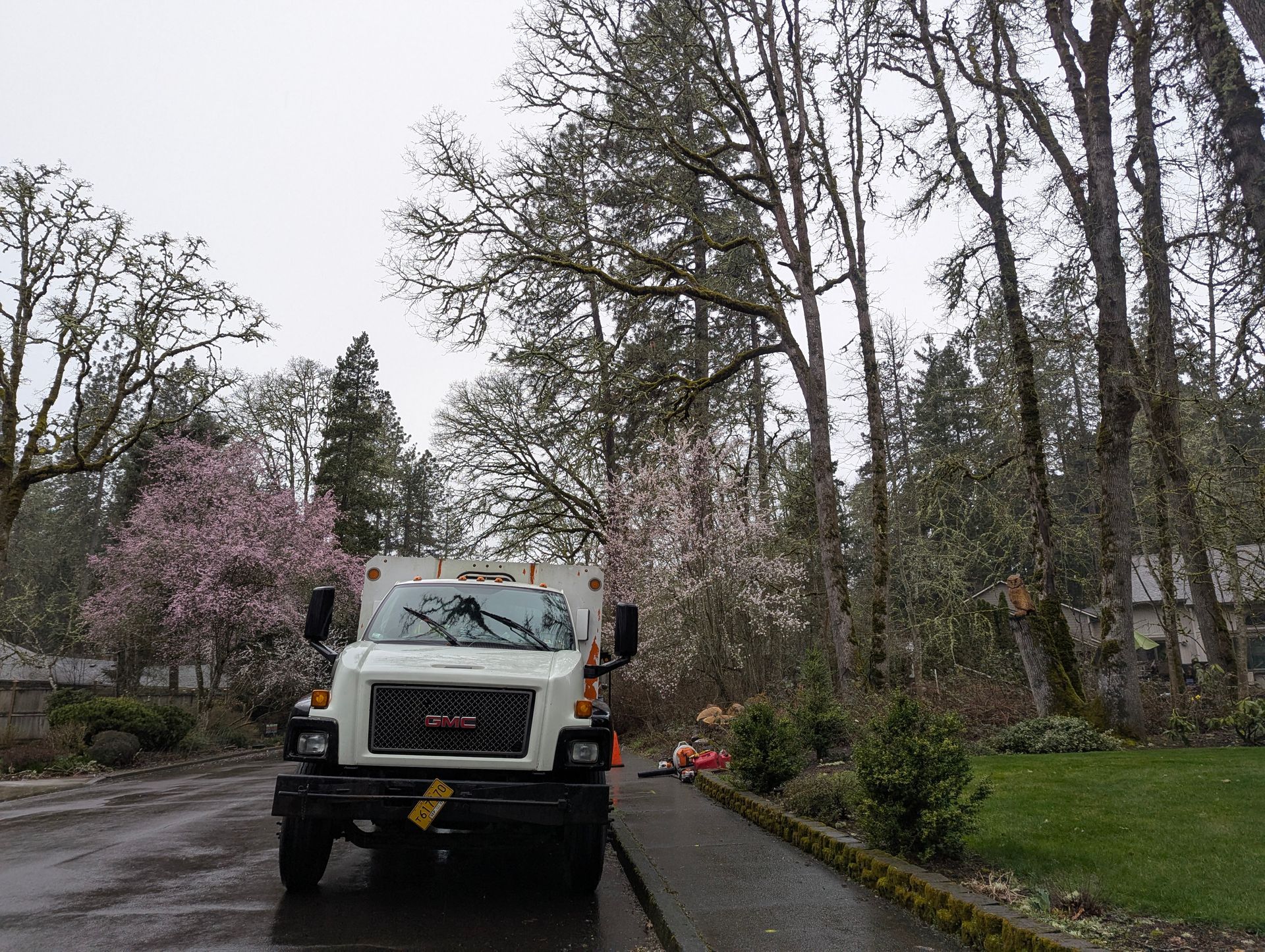 White utility truck on a wet driveway in a wooded yard, with trees and blooming pink bushes nearby