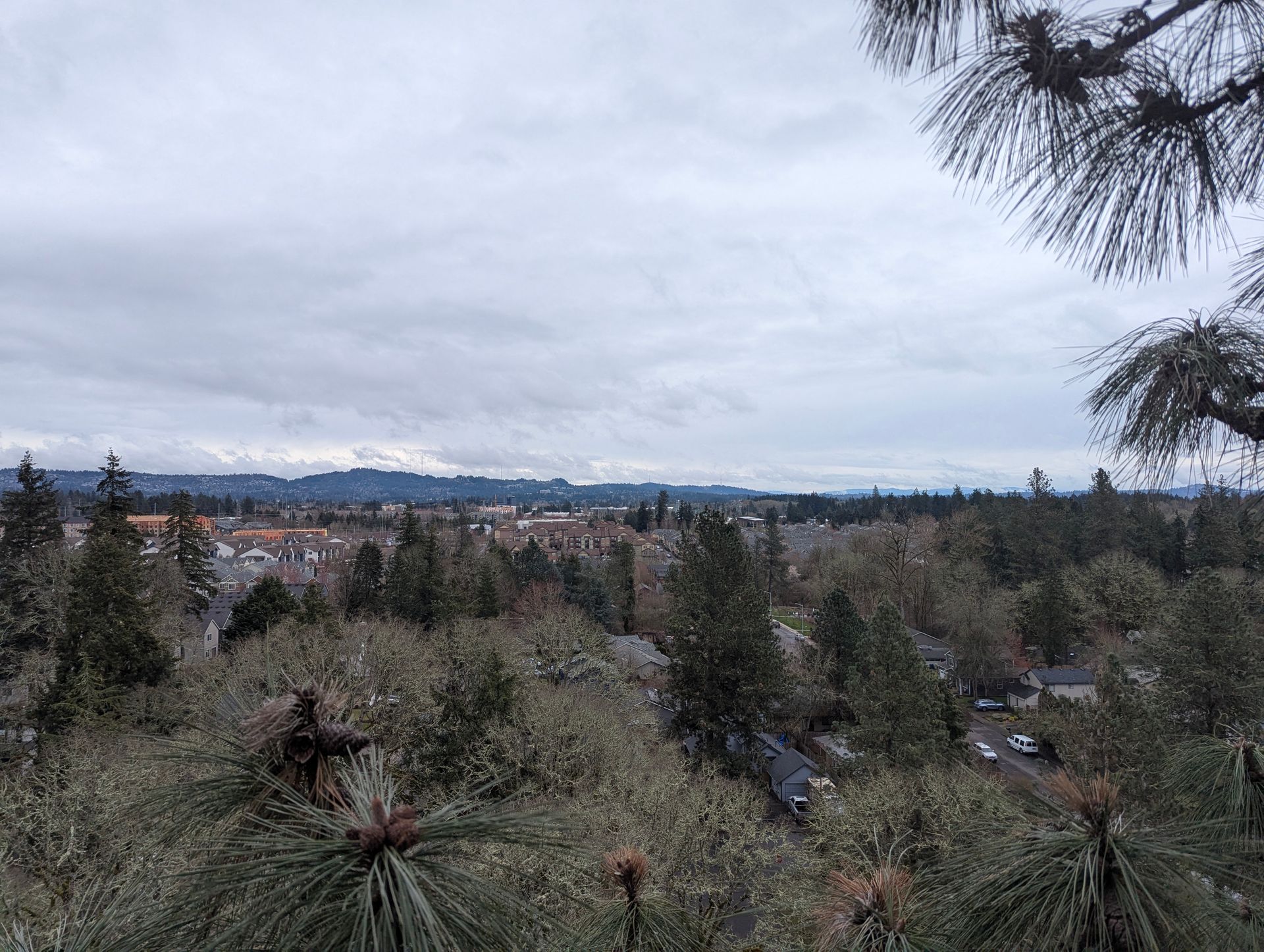 Cloudy view over a forested town with distant snowy mountains.