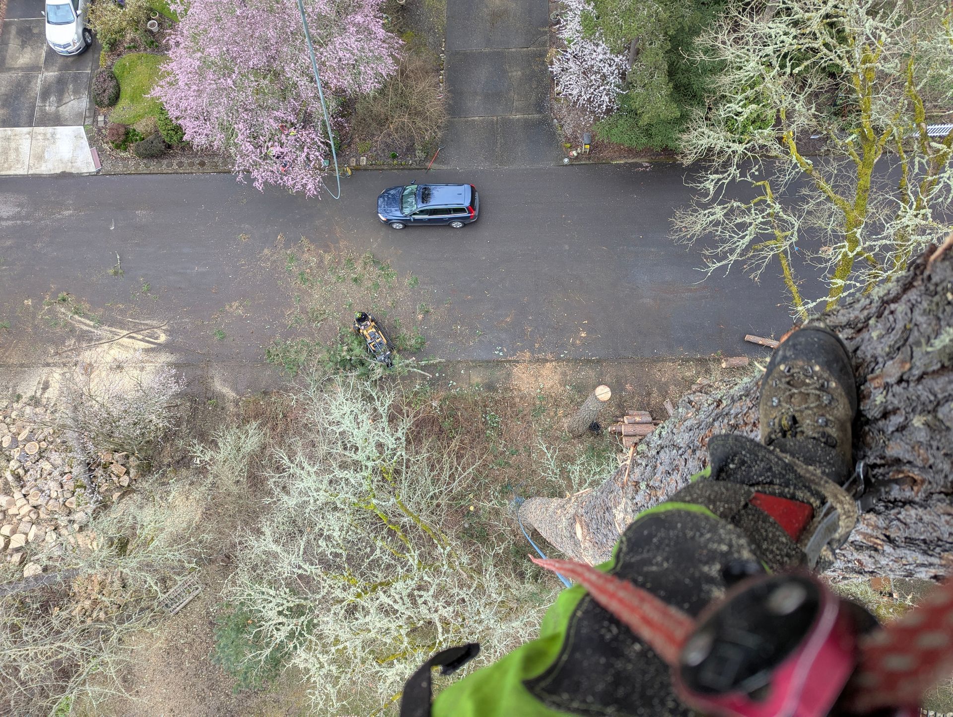 Aerial view of a blue car on a narrow road lined with trees and a rocky slope
