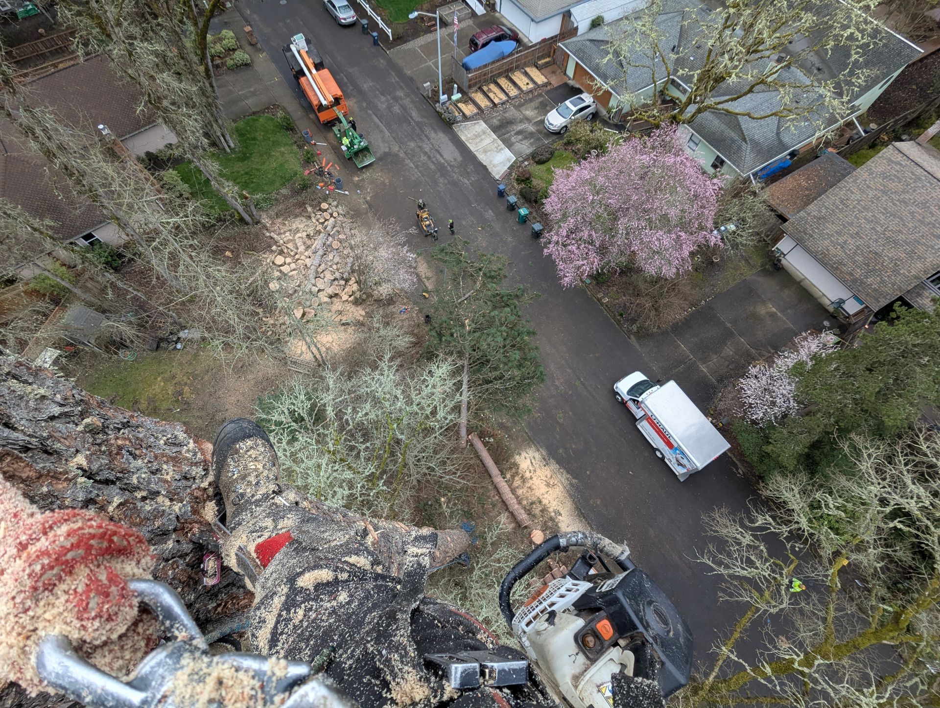 Aerial view of a tree-lined street with parked vehicles, blooming trees, and a person in a bucket lift near a roof.