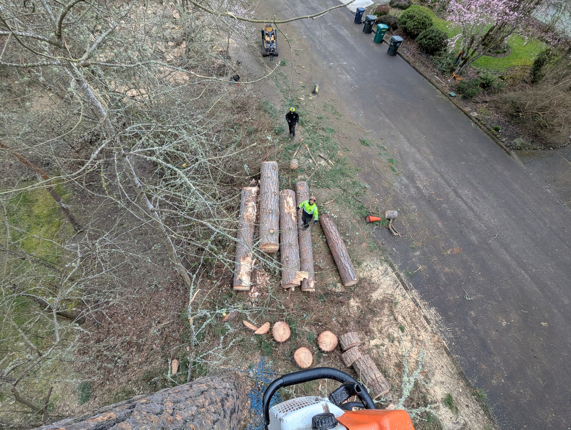 Workers cutting logs beside a dirt road in a wooded area, viewed from above.
