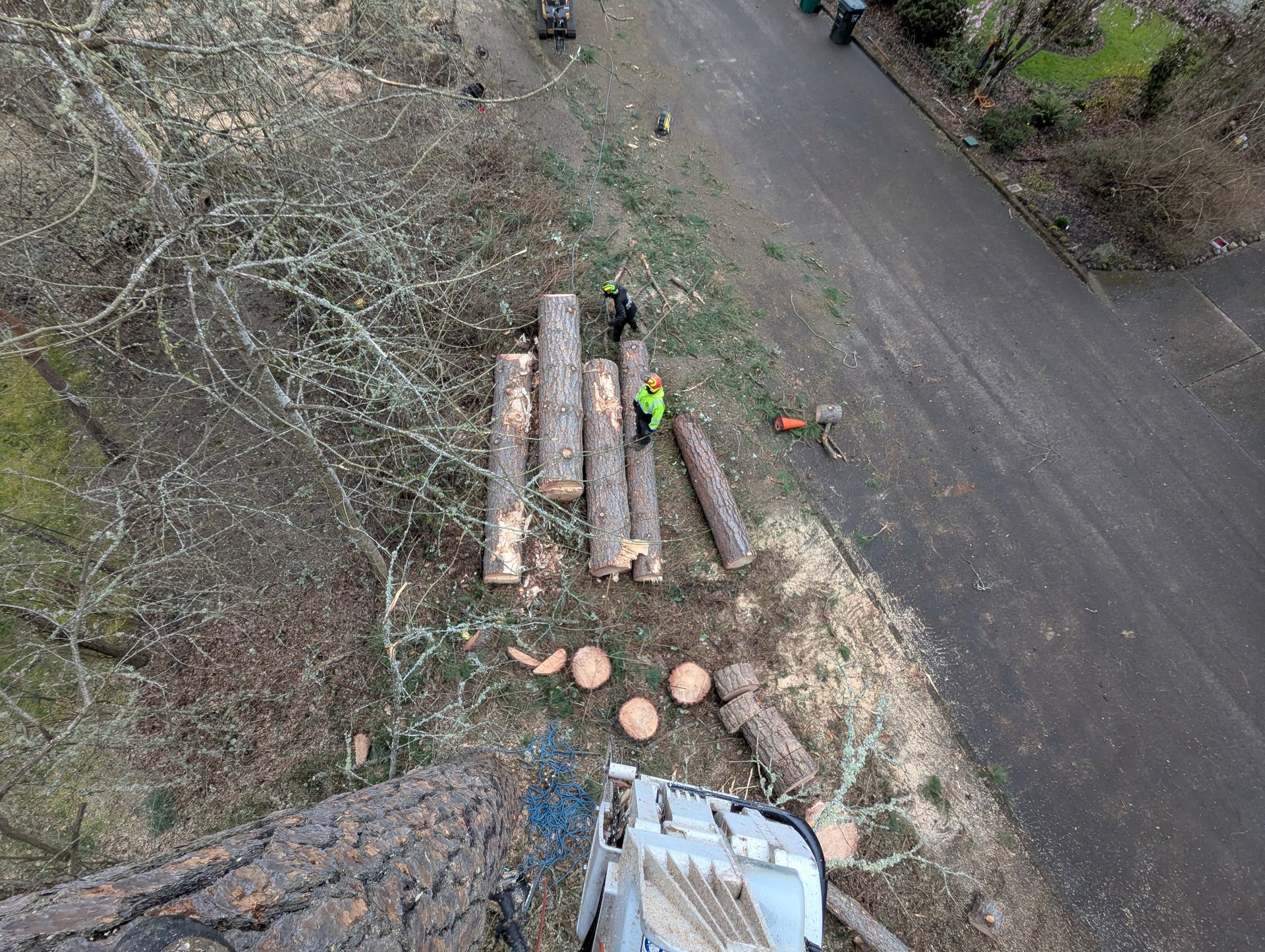 Top-down view of a roadwork site with stacked logs and a worker in a high-visibility vest beside a road.