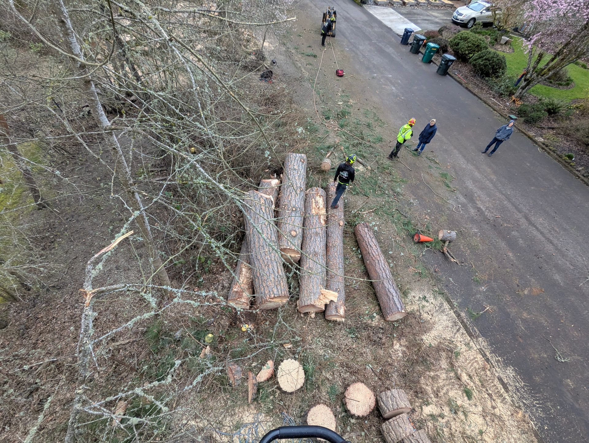 Logs piled beside a road, with several people standing nearby and cut wood rounds on the ground.