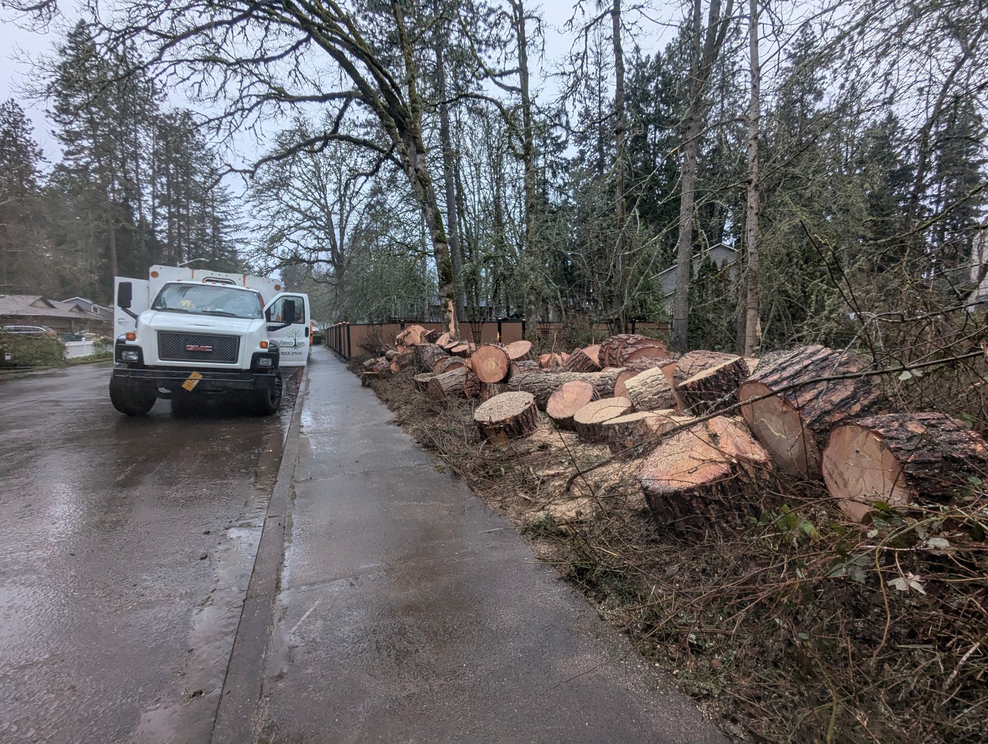 White utility truck on wet road beside a long pile of cut logs in a wooded area