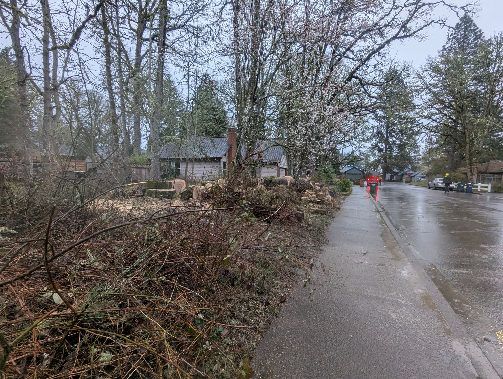 Rainy roadside with bare trees, a house, and a person in a red jacket walking along the wet pavement